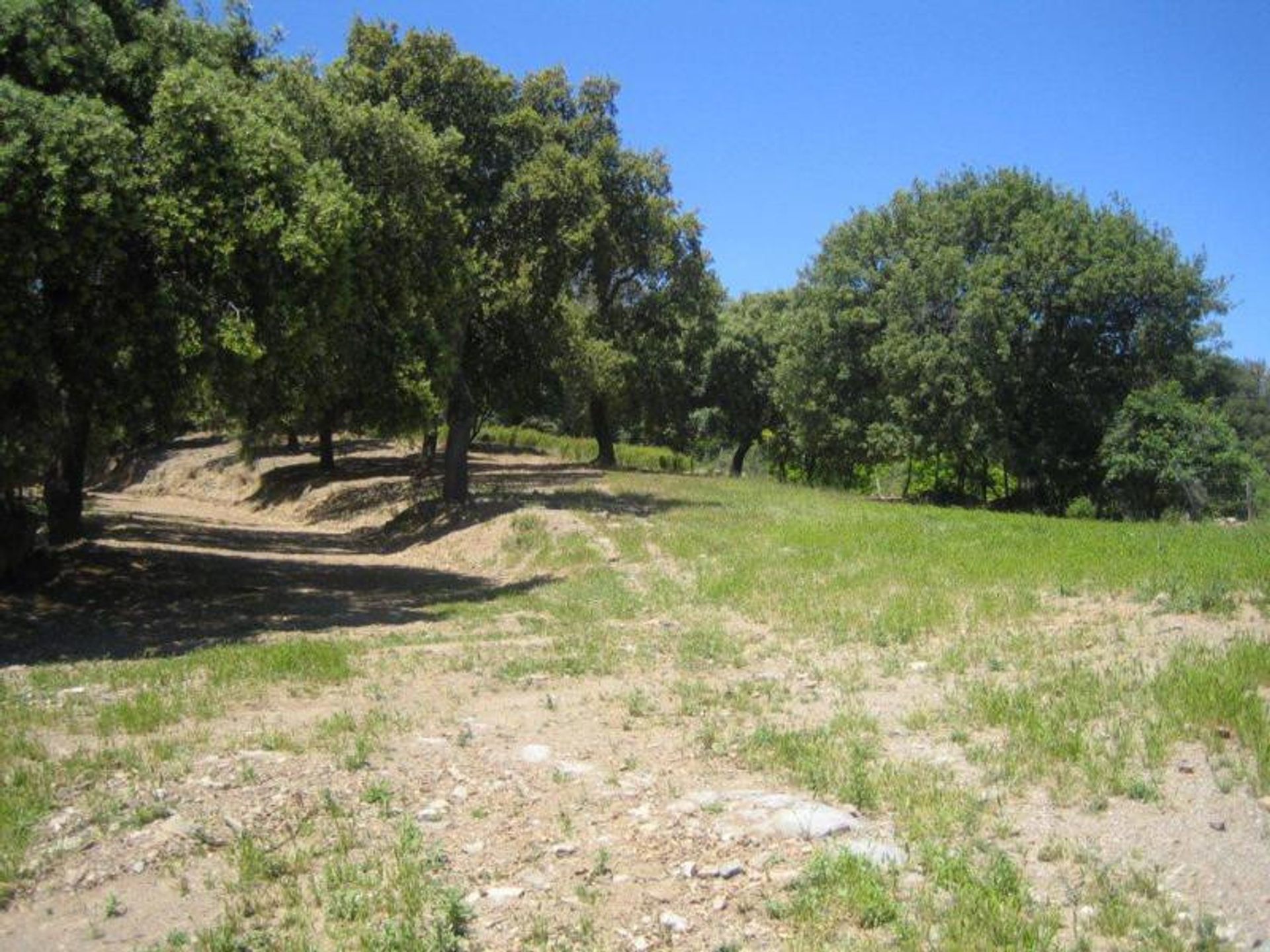 Land in Ronda, Andalucía 10724549