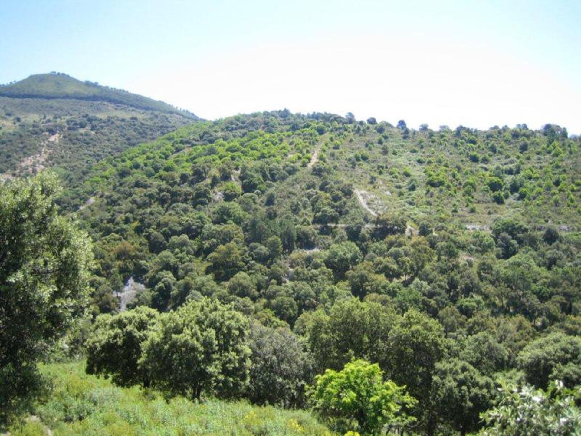 Land in Ronda, Andalucía 10724549