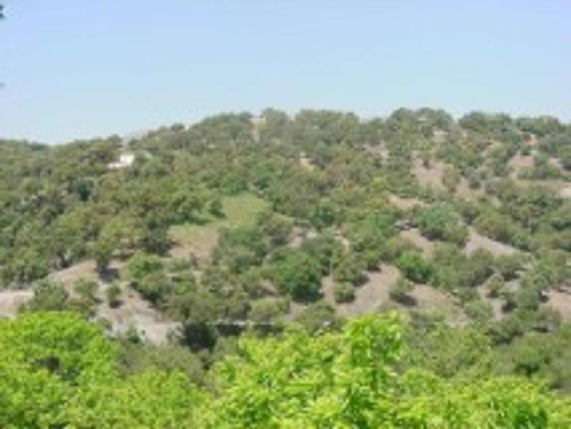 Land in Ronda, Andalucía 10724549