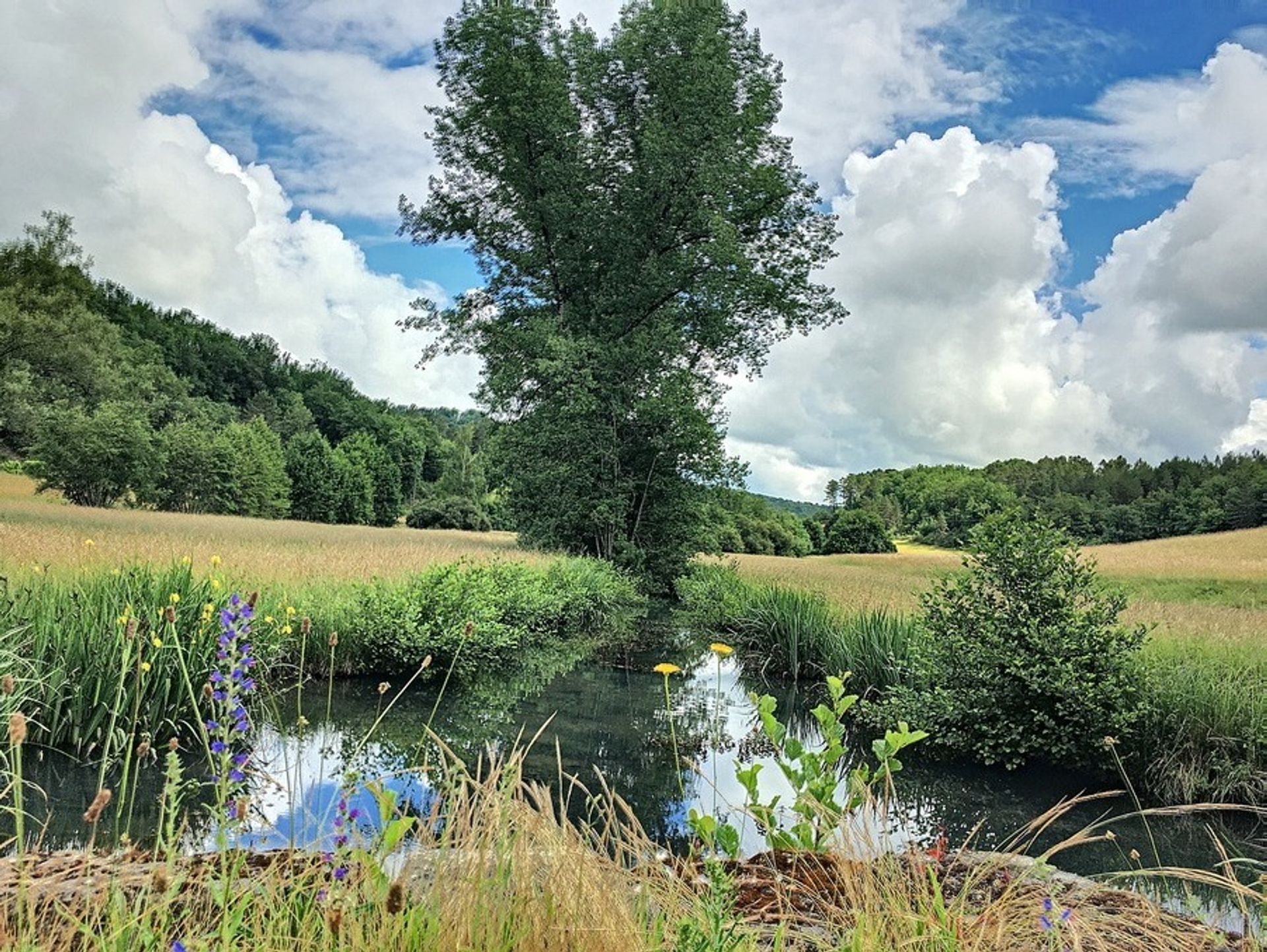 casa en Rouffignac-Saint-Cernin-de-Reilhac, Nouvelle-Aquitaine 10724562