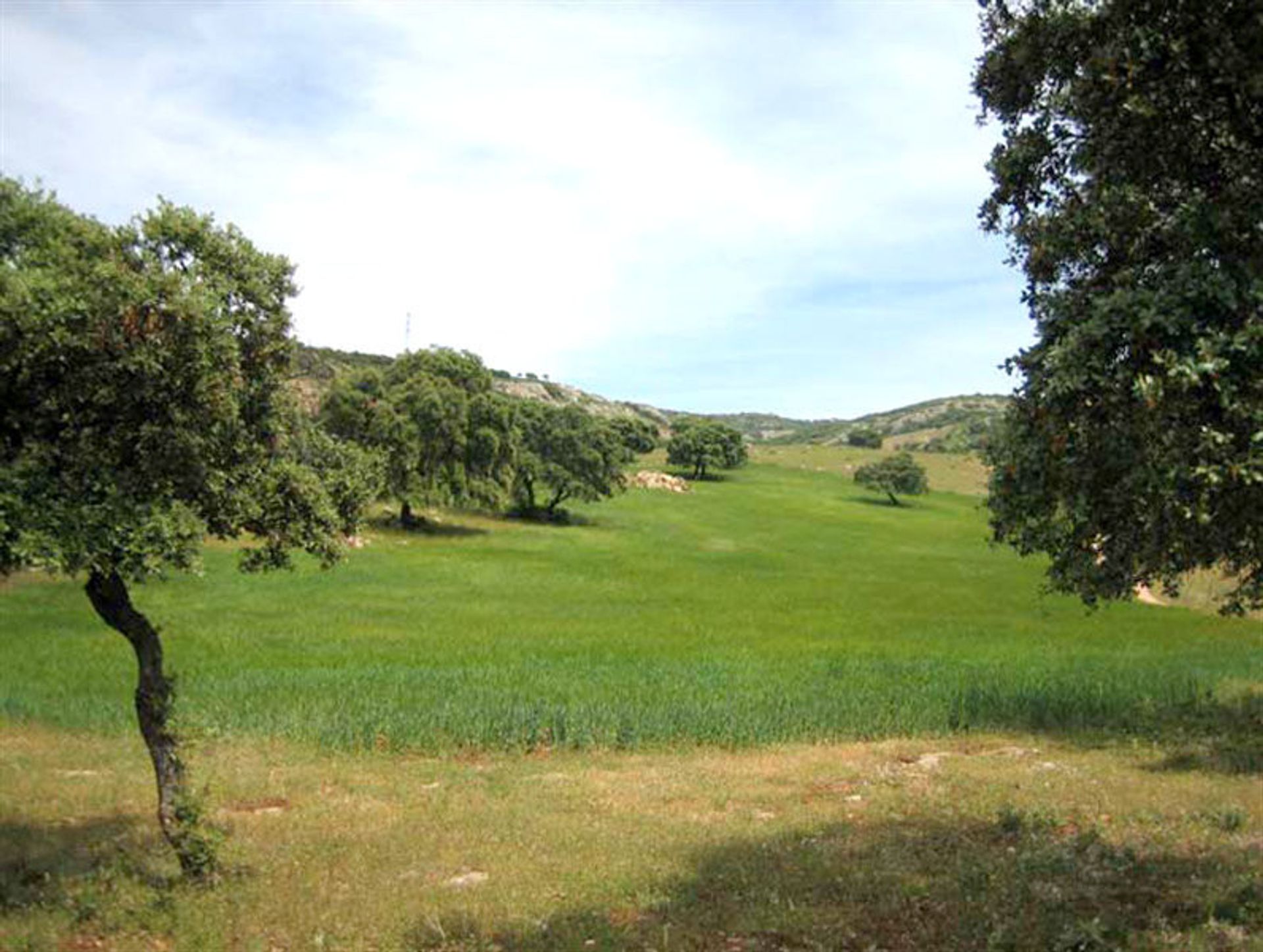 rumah dalam Ronda, Andalusia 10724682