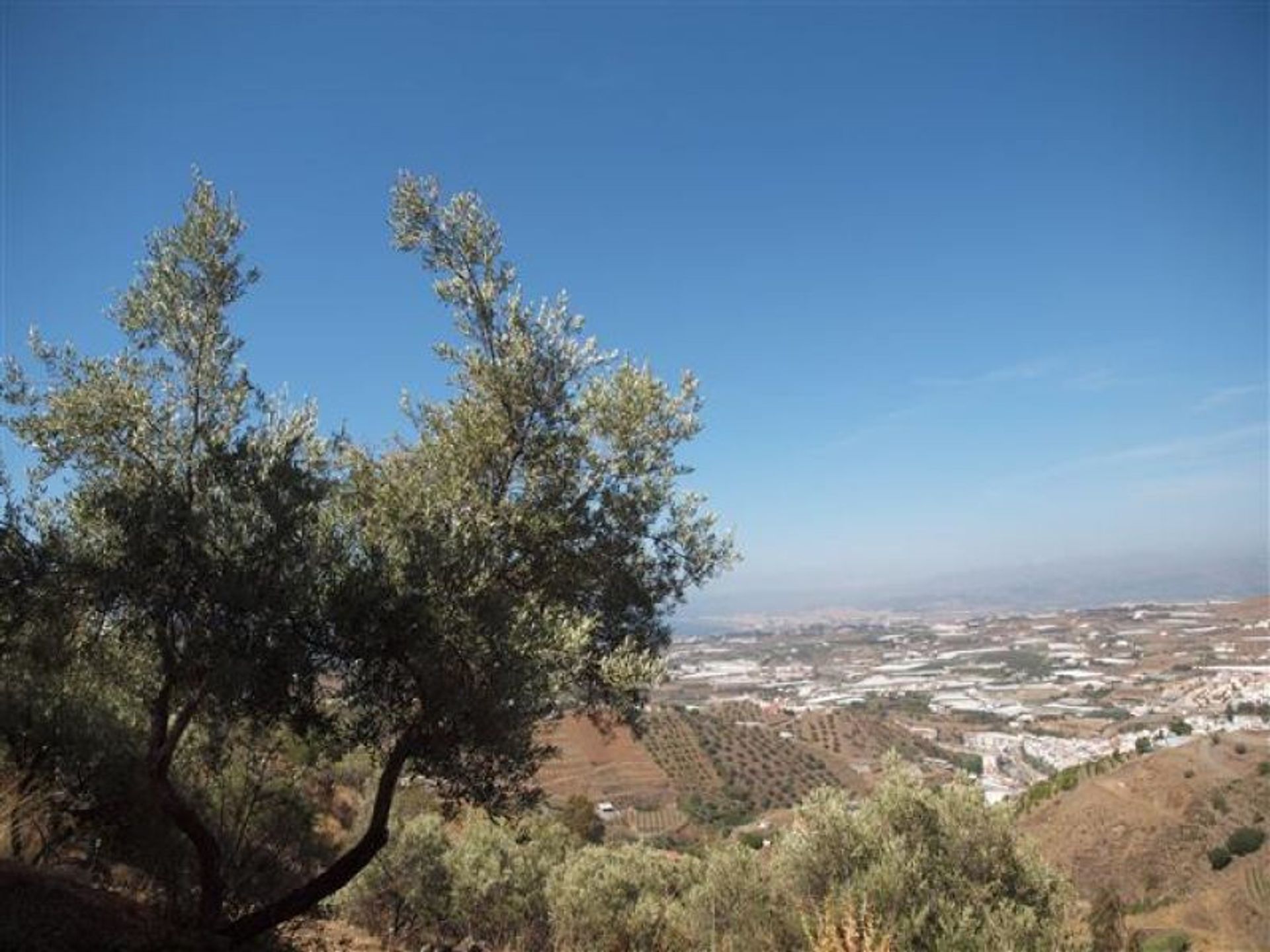 House in , Andalucía 10724702