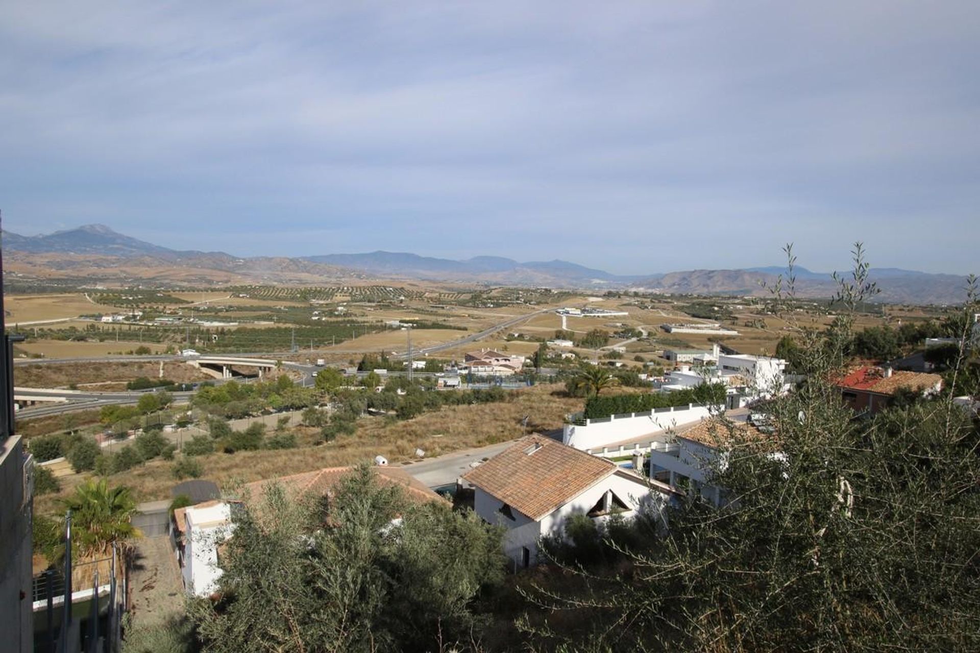 Land i Mynt, Andalusia 10724723