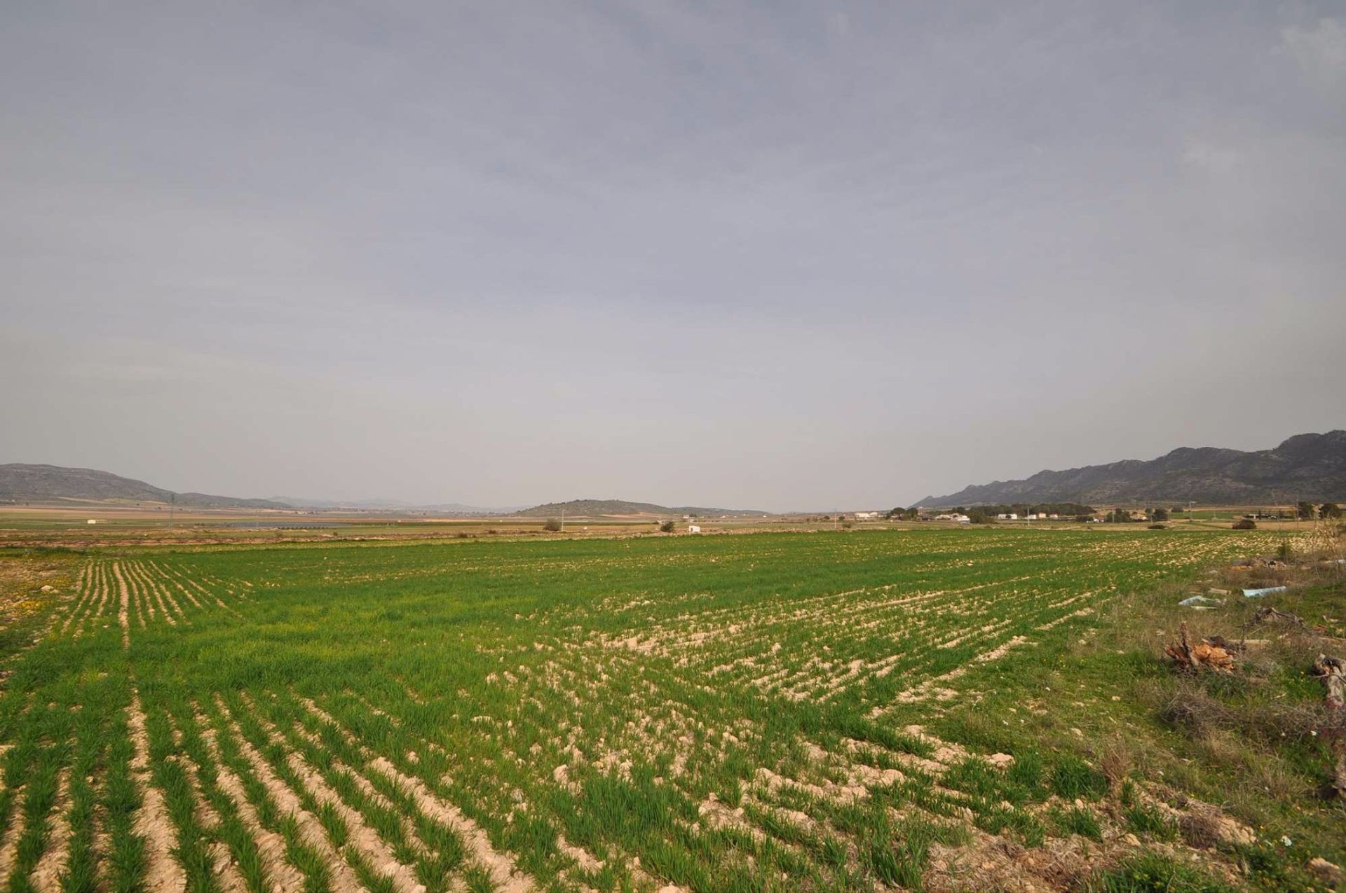 rumah dalam Yecla, Región de Murcia 10724768