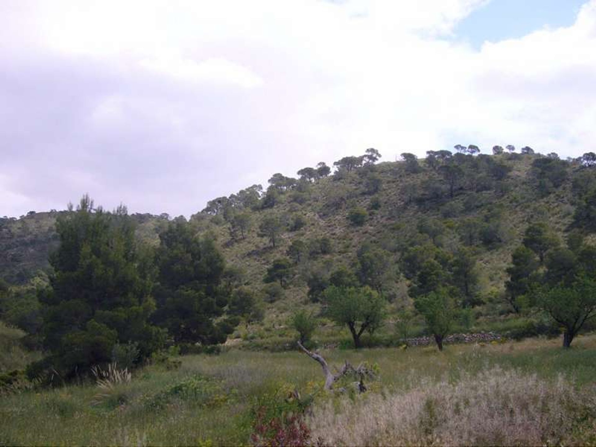 casa no A Romana, Valência 10724778