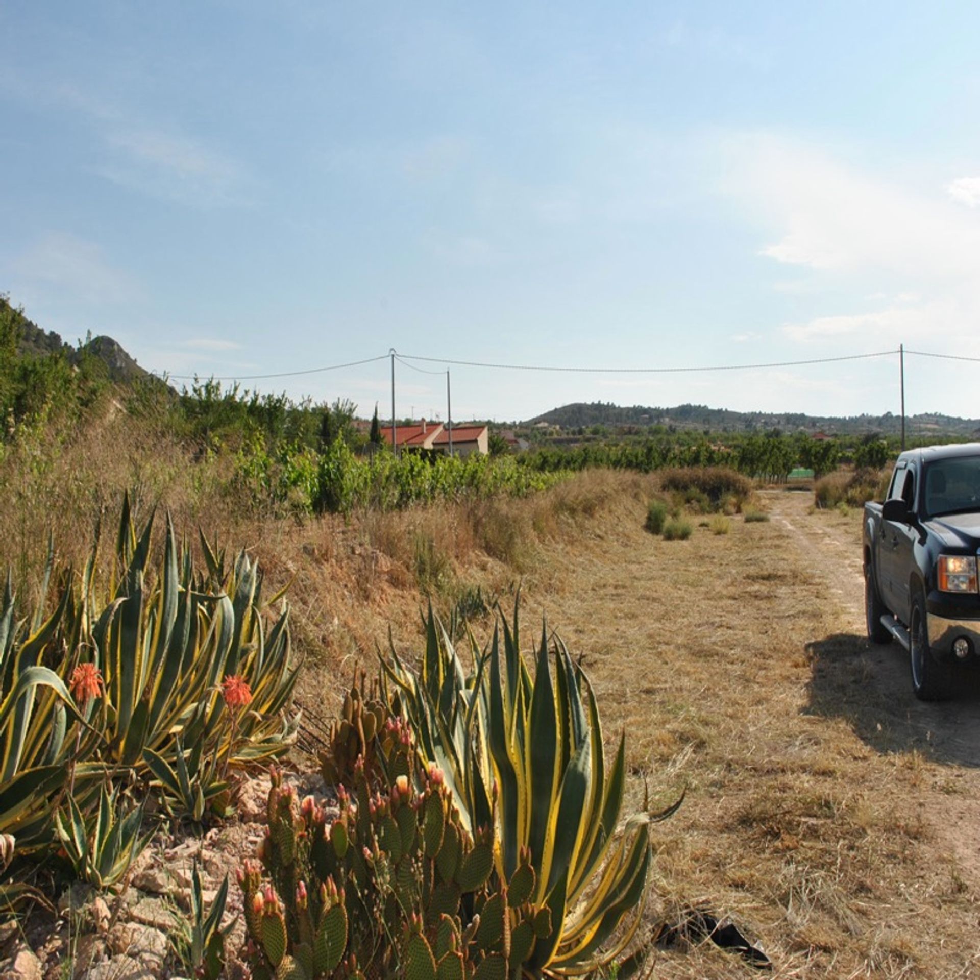 loger dans Fondó dels Frares, Comunidad Valenciana 10724810