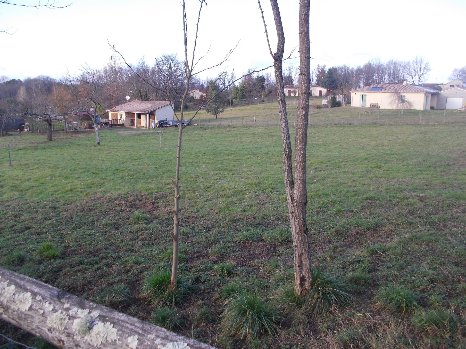 Terre dans Couze-et-Saint-Front, Nouvelle-Aquitaine 10724812