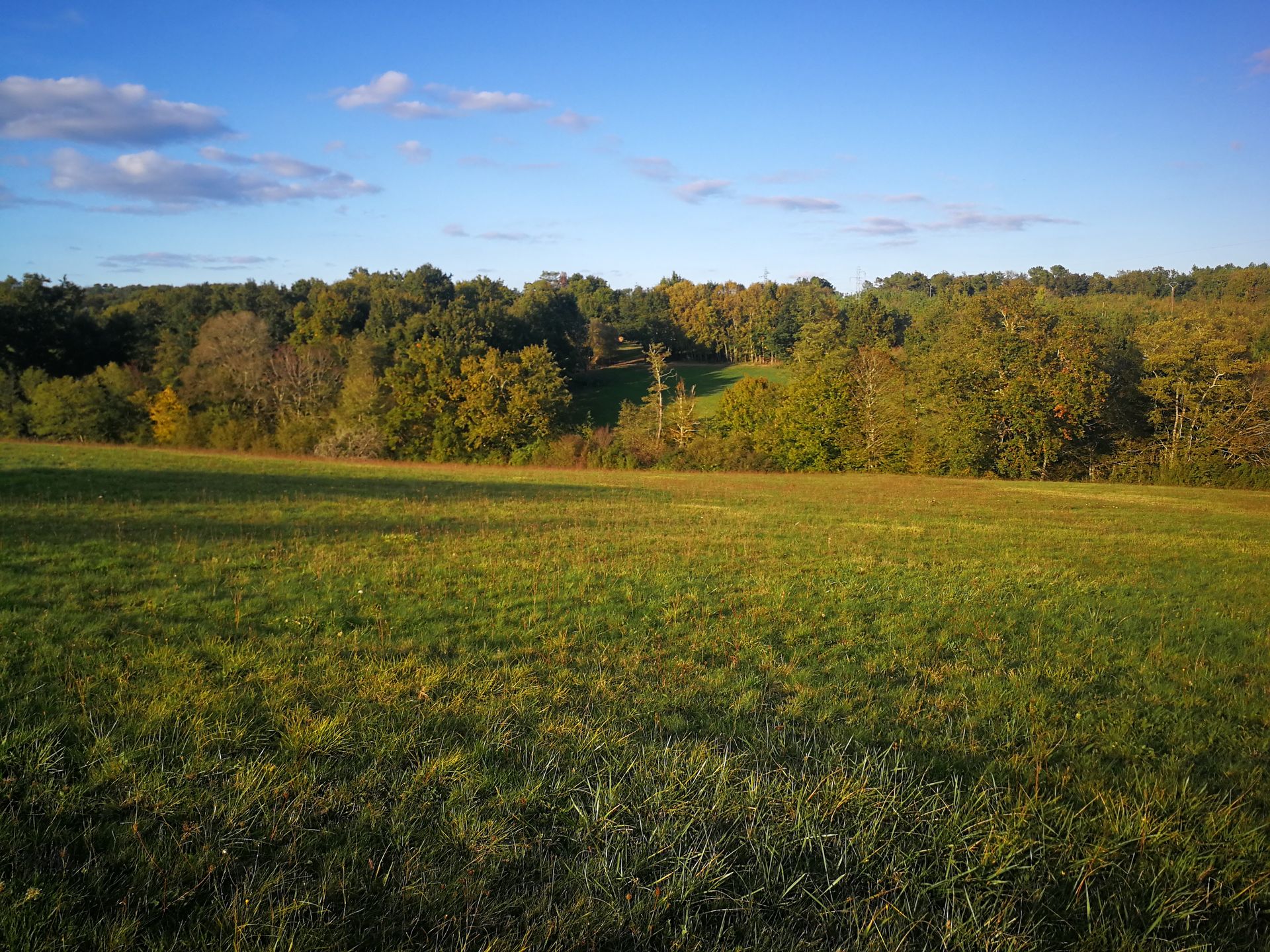 Land im Bergerac, Nouvelle-Aquitaine 10724838