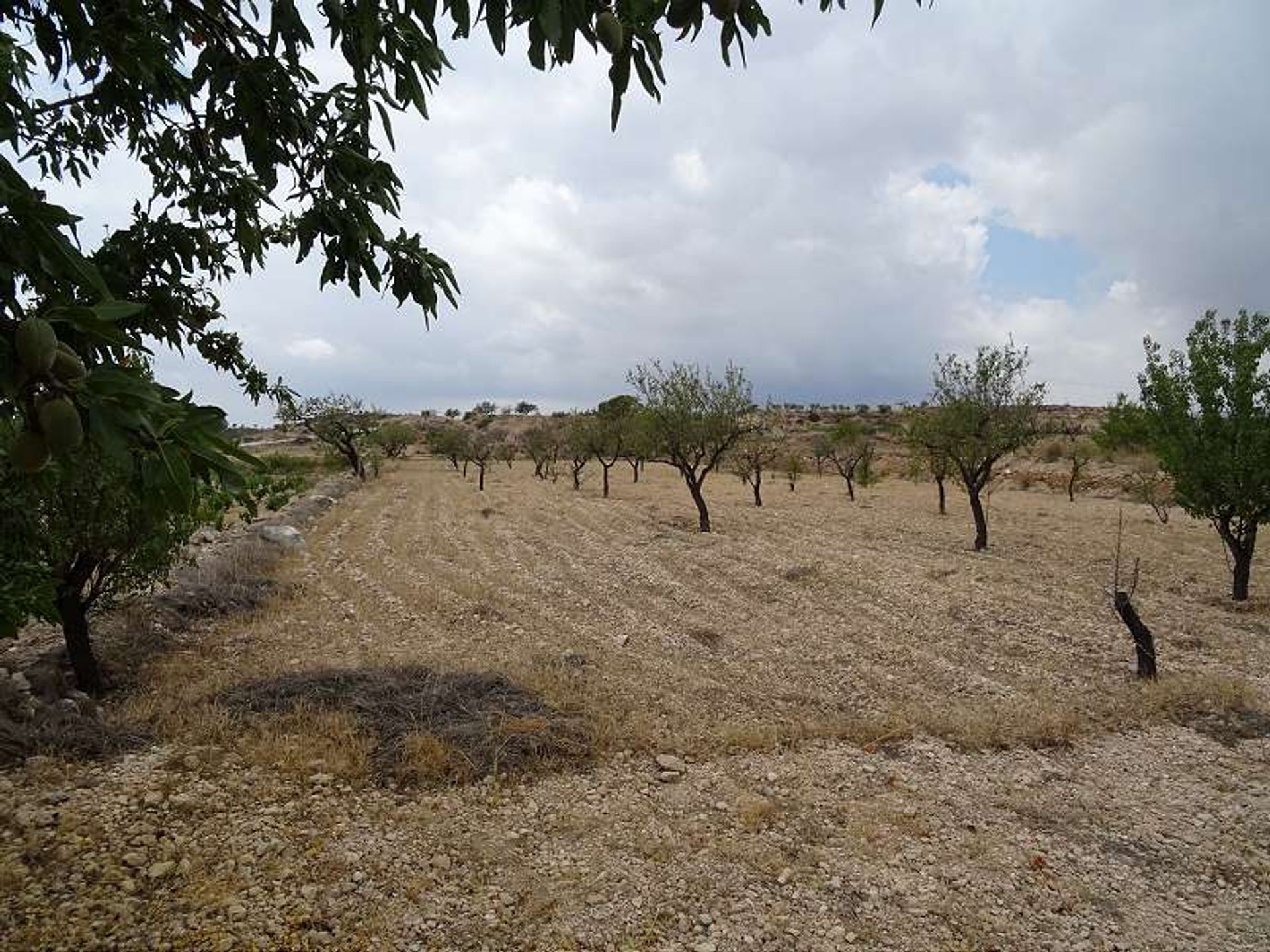 بيت في Abanilla, Región de Murcia 10724853