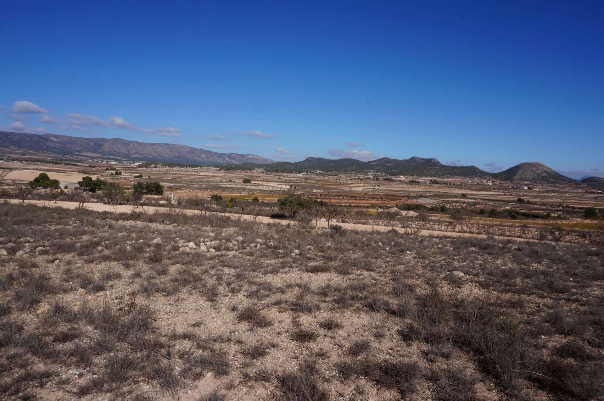 Tierra en Pinoso, Comunidad Valenciana 10724888