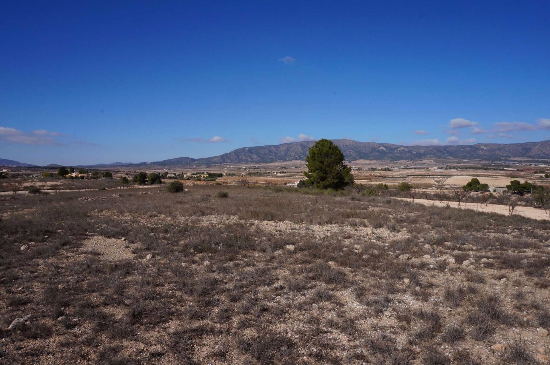 Tierra en Pinoso, Comunidad Valenciana 10724888