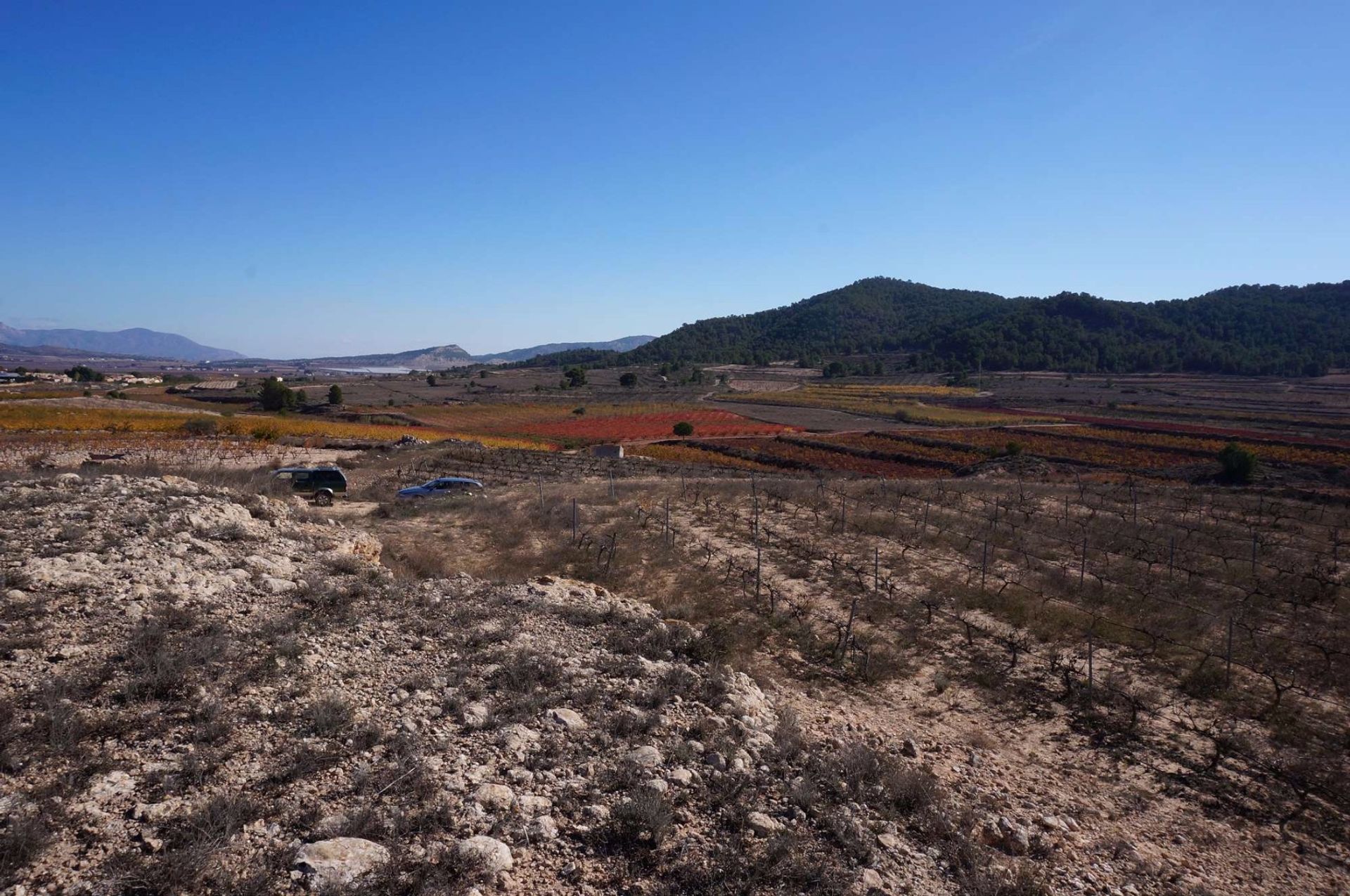 Tierra en Pinoso, Comunidad Valenciana 10724888