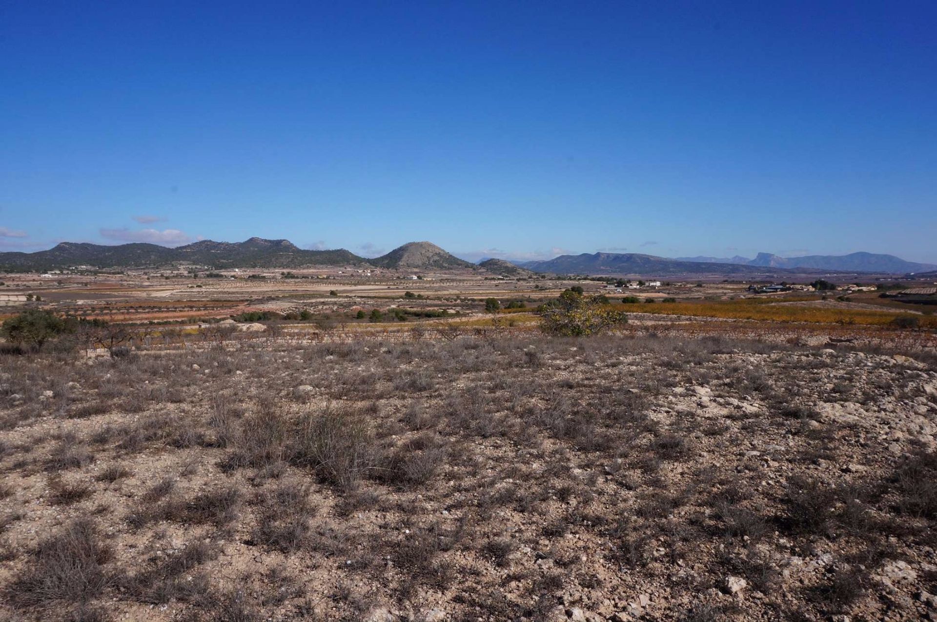 Tierra en Pinoso, Comunidad Valenciana 10724888