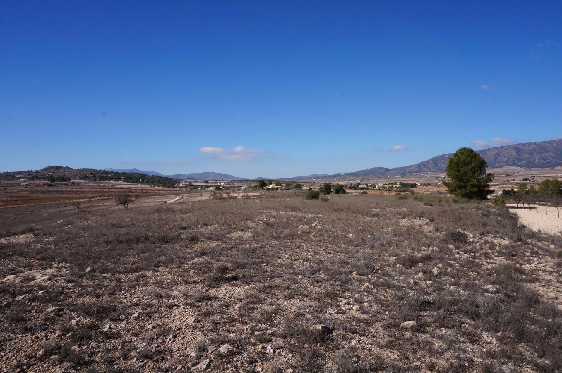 Tierra en Pinoso, Comunidad Valenciana 10724888