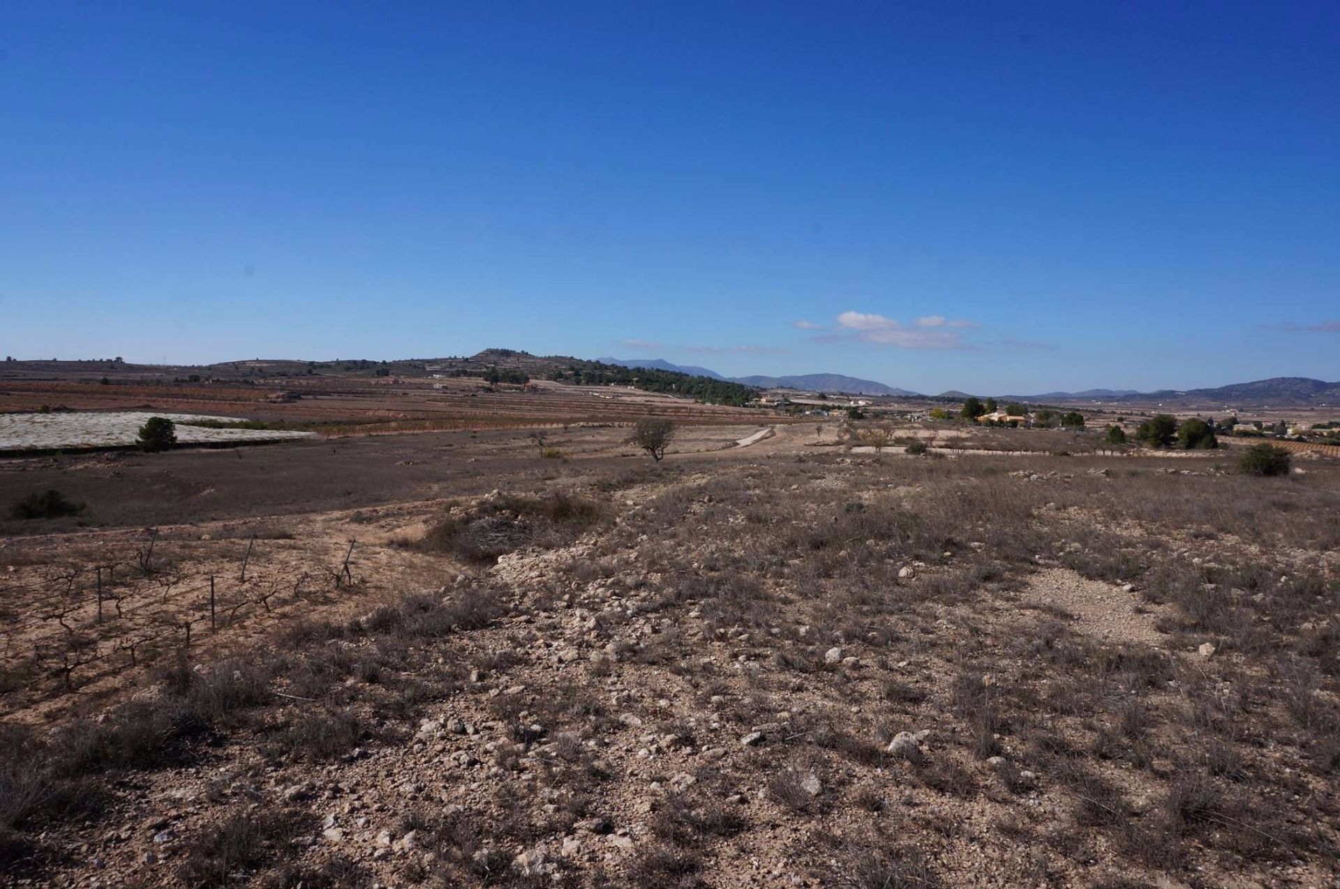 Tierra en Pinoso, Comunidad Valenciana 10724888