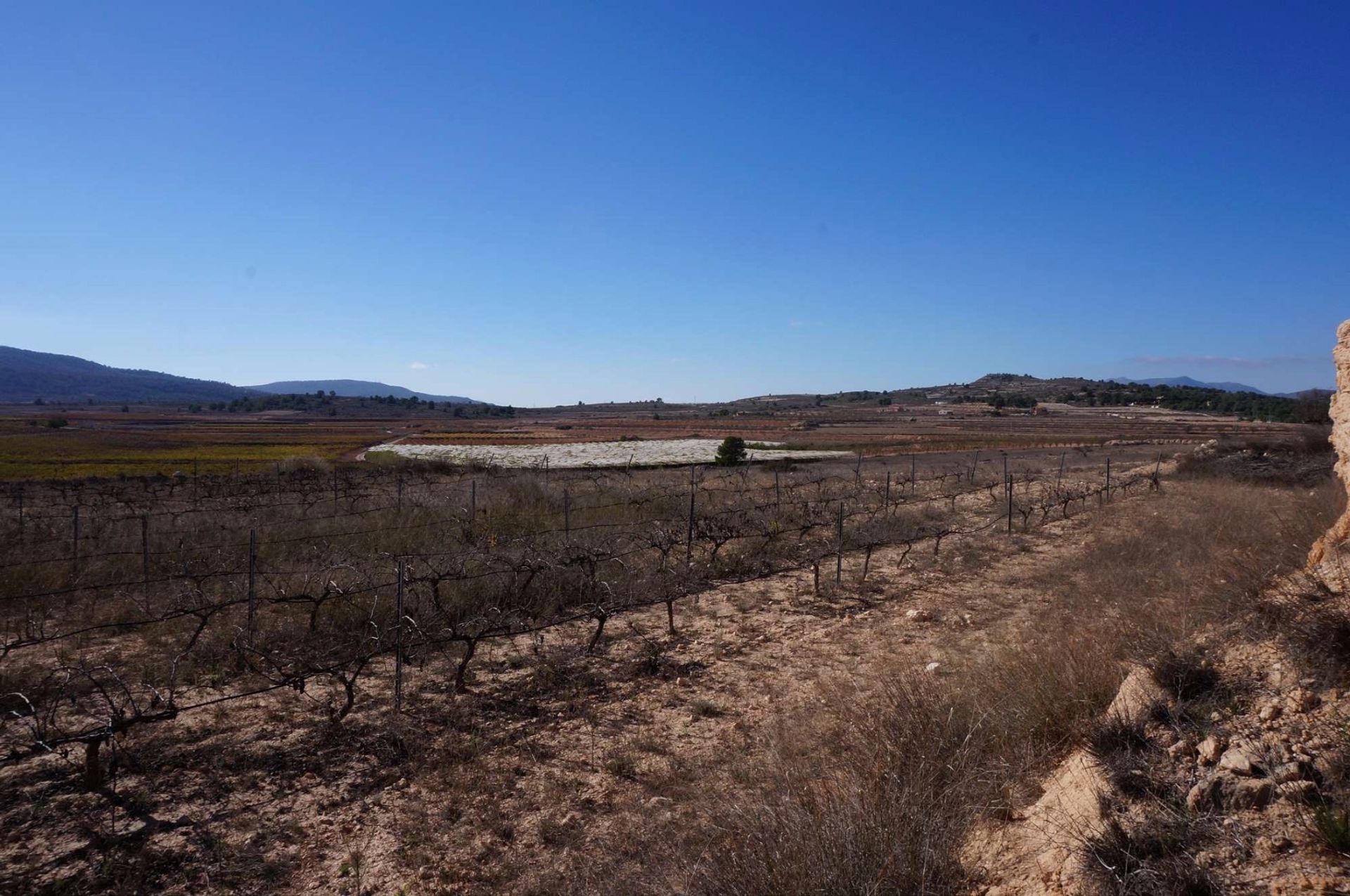 Tierra en Pinoso, Comunidad Valenciana 10724888