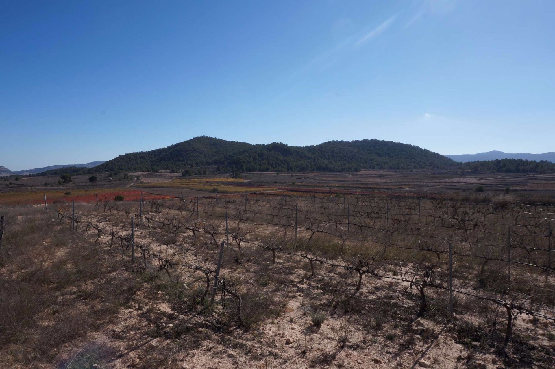 Tierra en Pinoso, Comunidad Valenciana 10724888