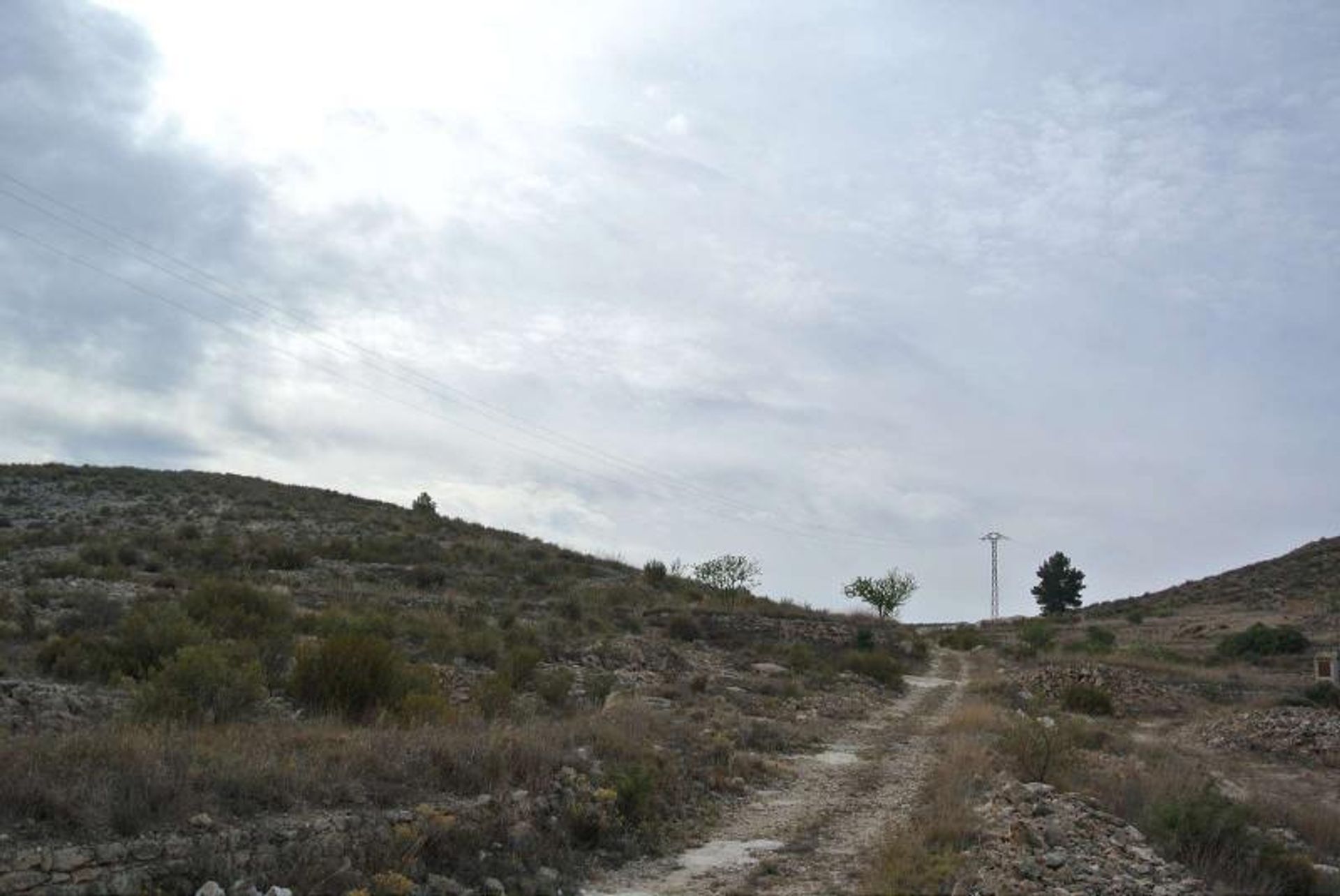 土地 在 Jumilla, Región de Murcia 10724890