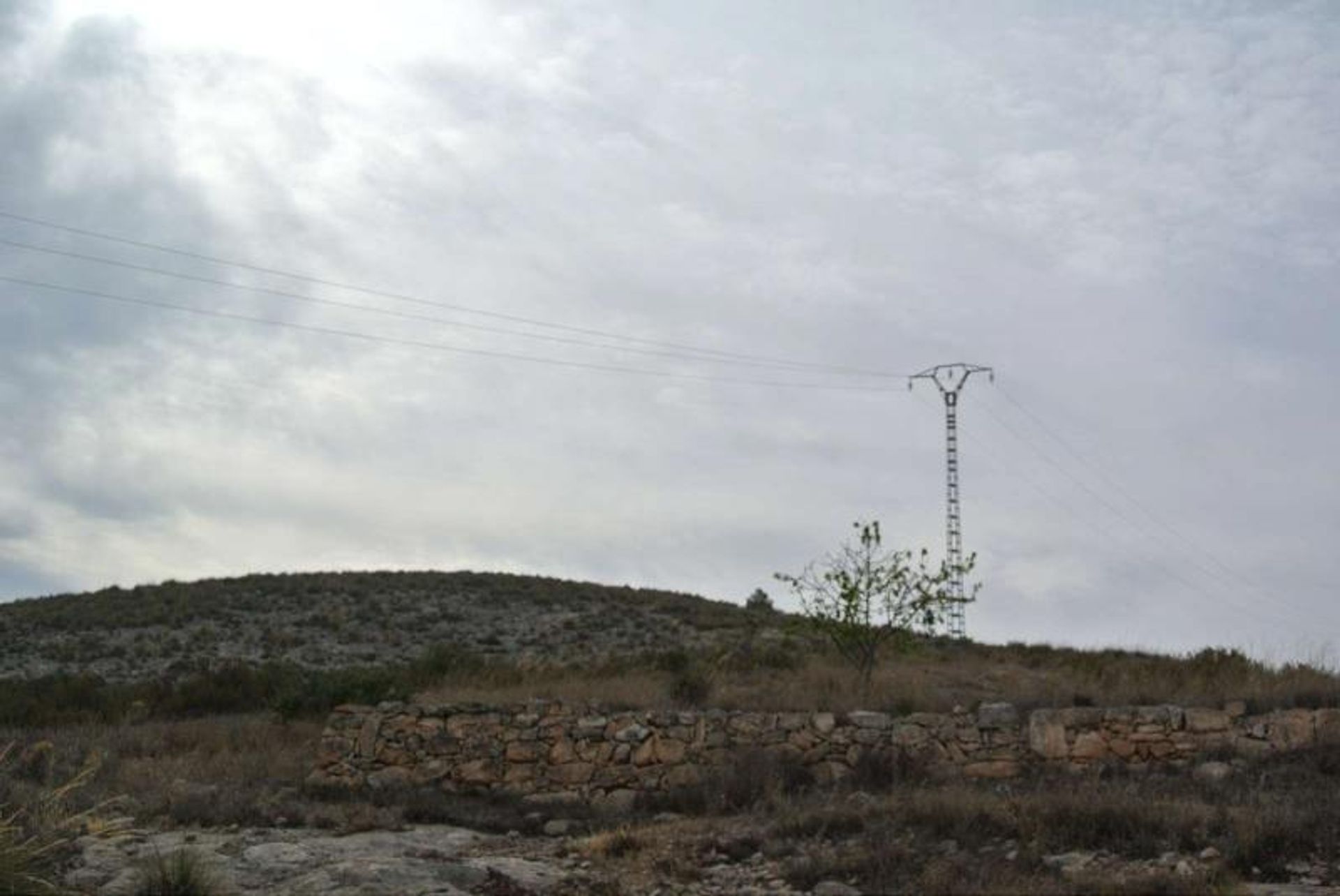 土地 在 Jumilla, Región de Murcia 10724890