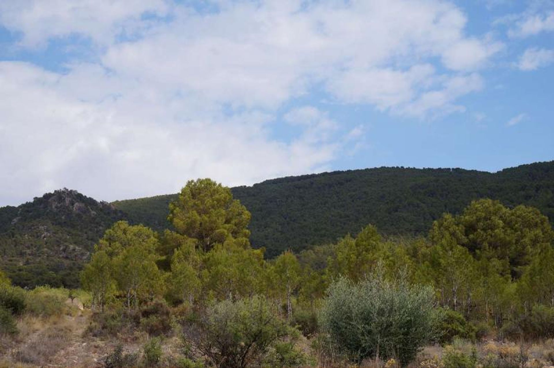 Terre dans Yecla, Región de Murcia 10724892