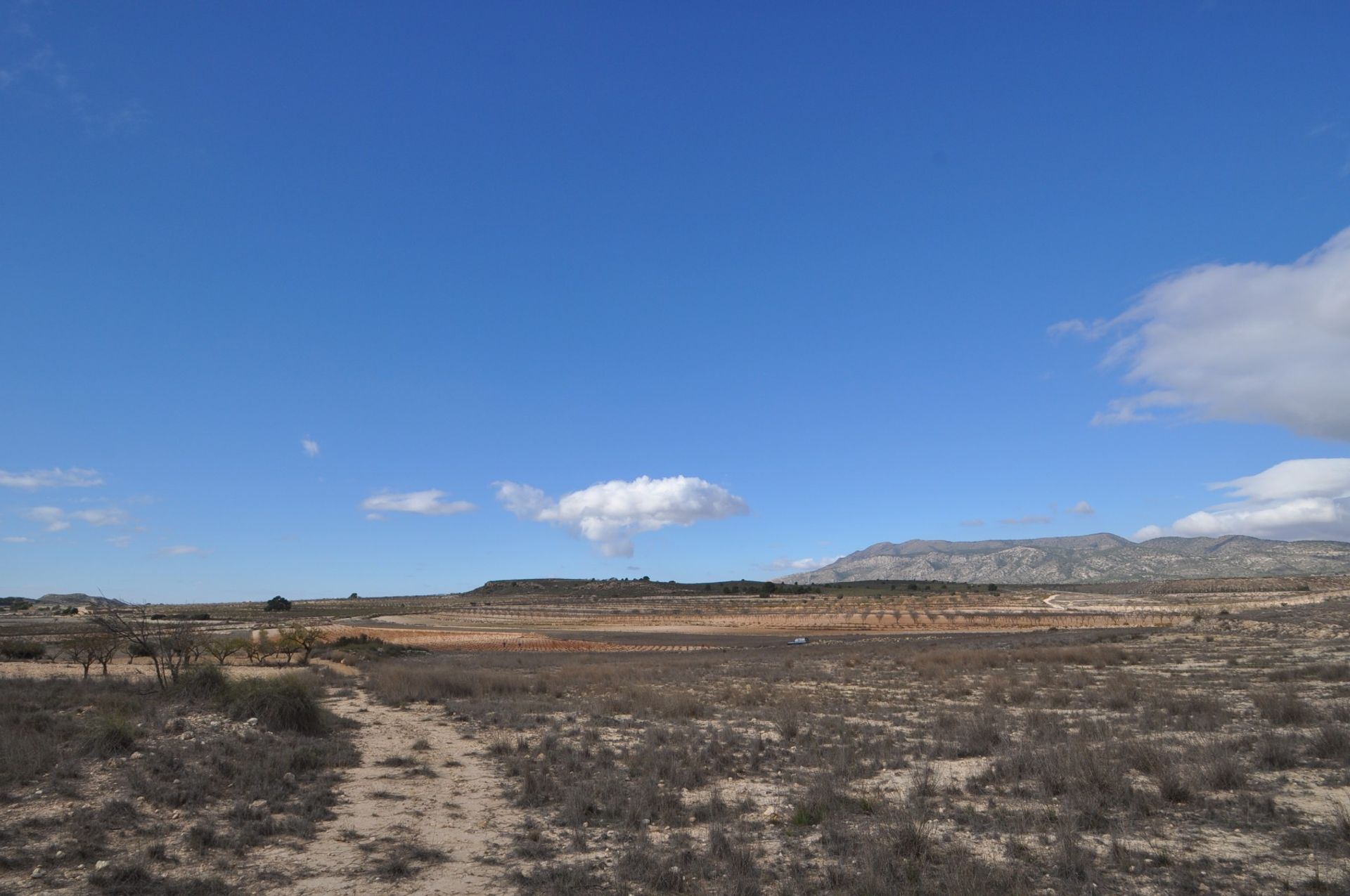 Terra no Pinoso, Valência 10724976