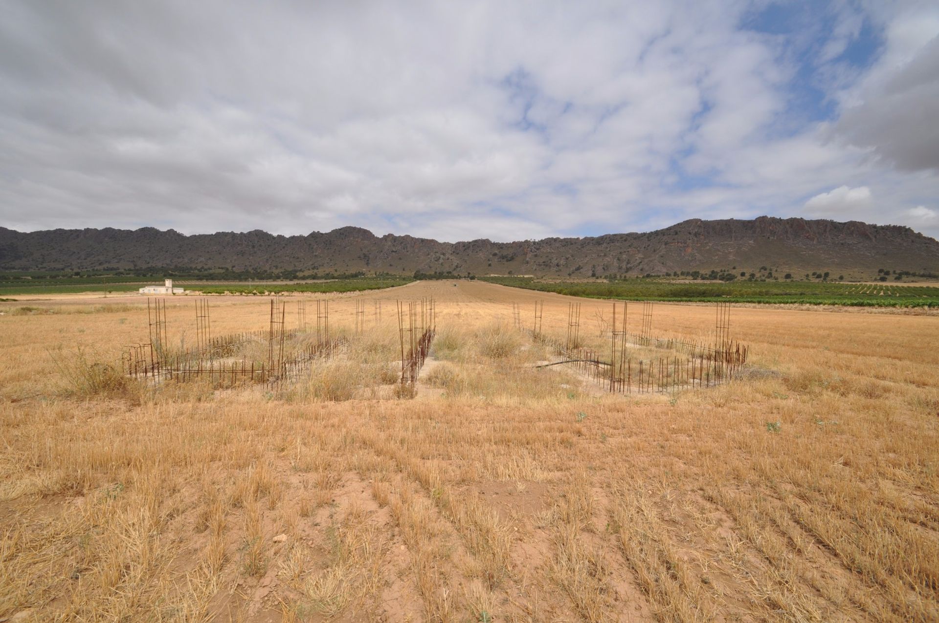 Terre dans Yecla, Región de Murcia 10725048