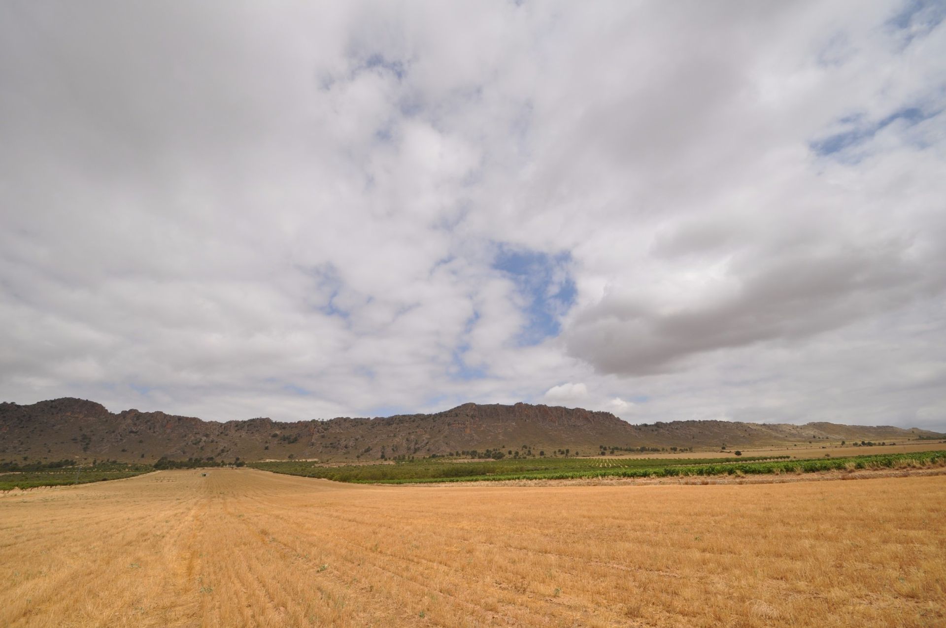 Terre dans Yecla, Región de Murcia 10725048