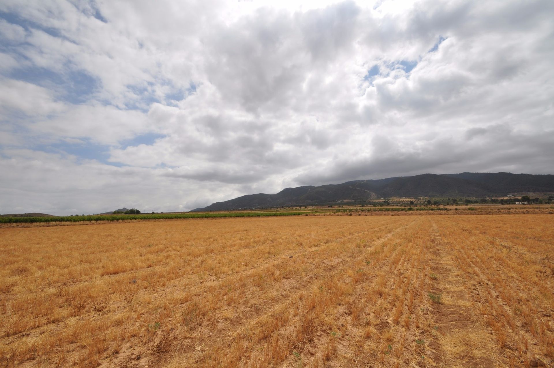 Tierra en Yecla, Región de Murcia 10725048