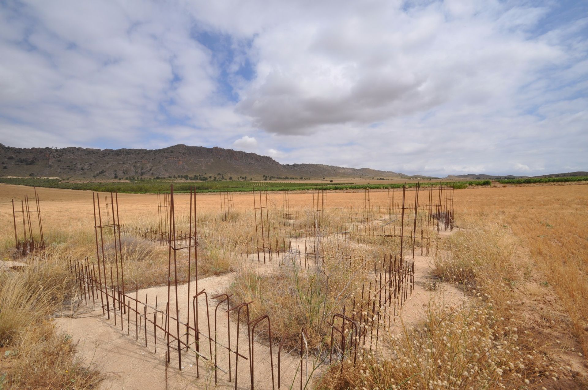 Terre dans Yecla, Región de Murcia 10725048