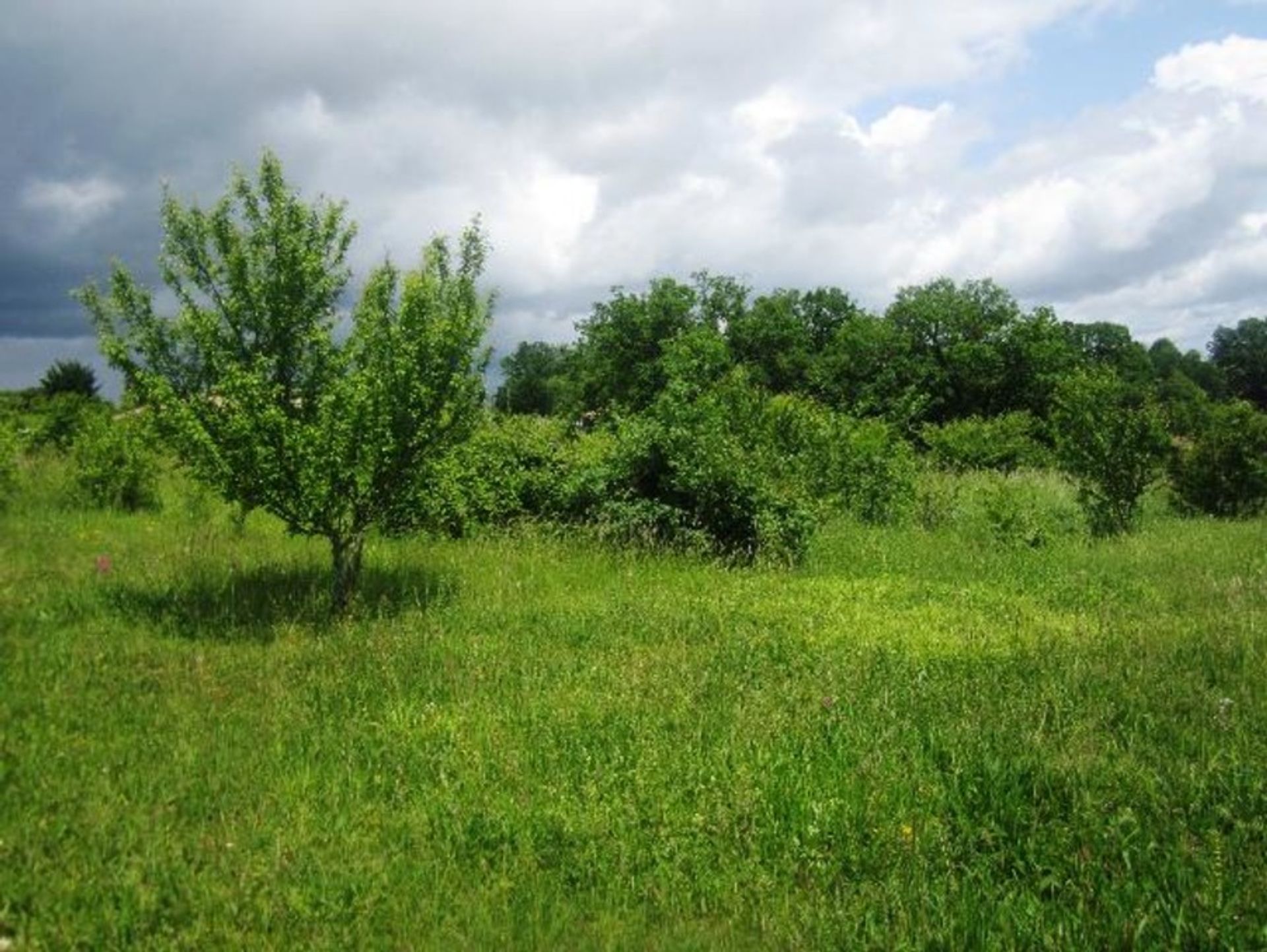 House in Cahuzac, Nouvelle-Aquitaine 10725112