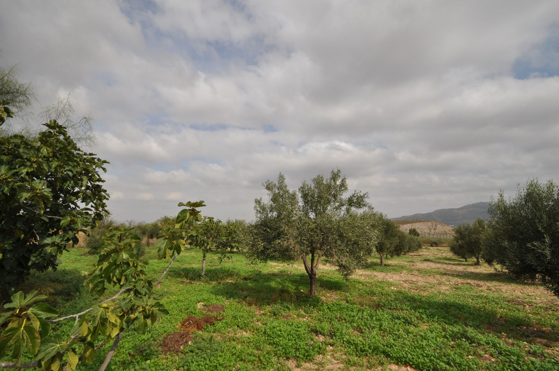 casa no Saix, Comunidad Valenciana 10725138