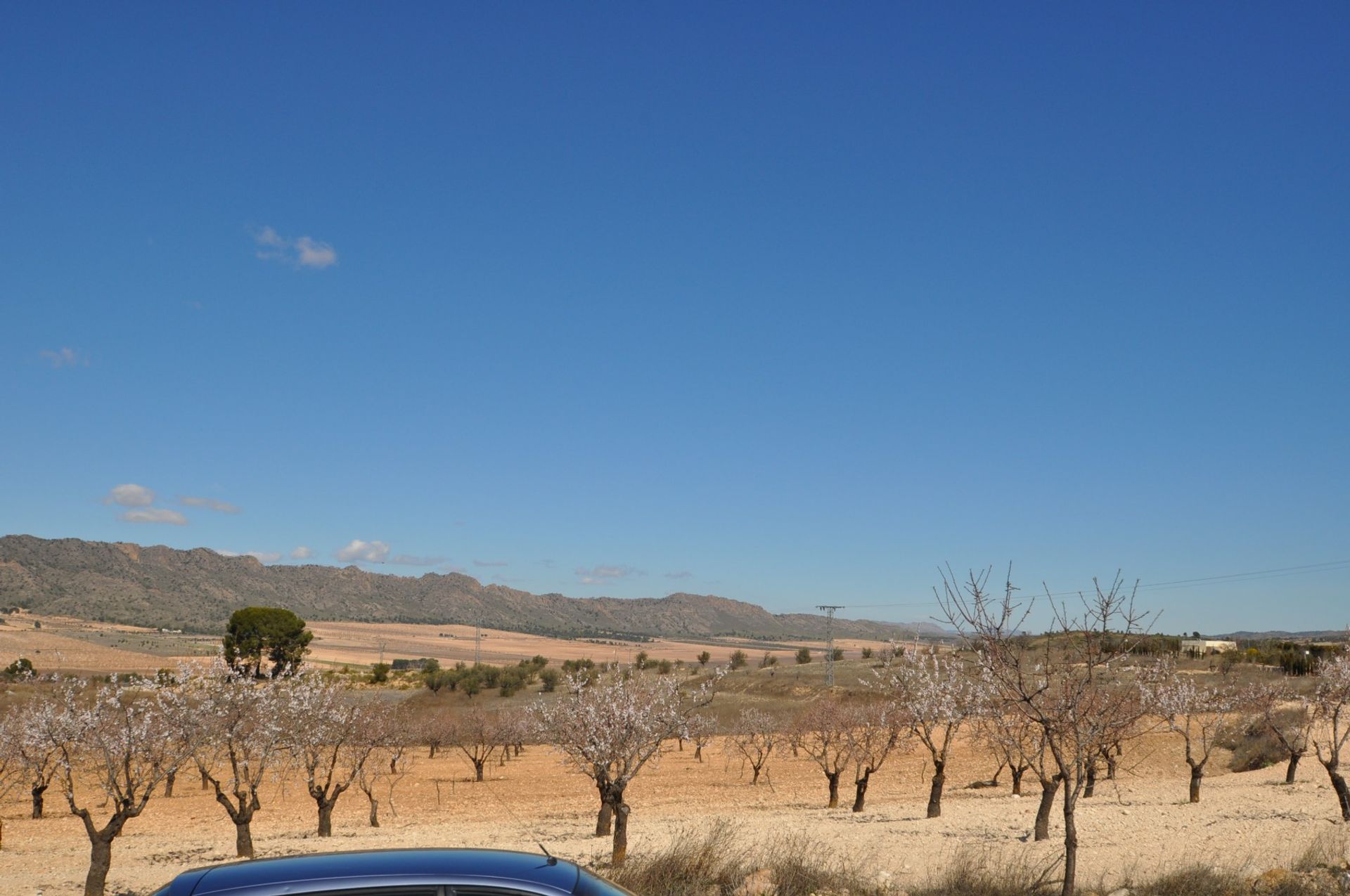 Tierra en Yecla, Región de Murcia 10725154