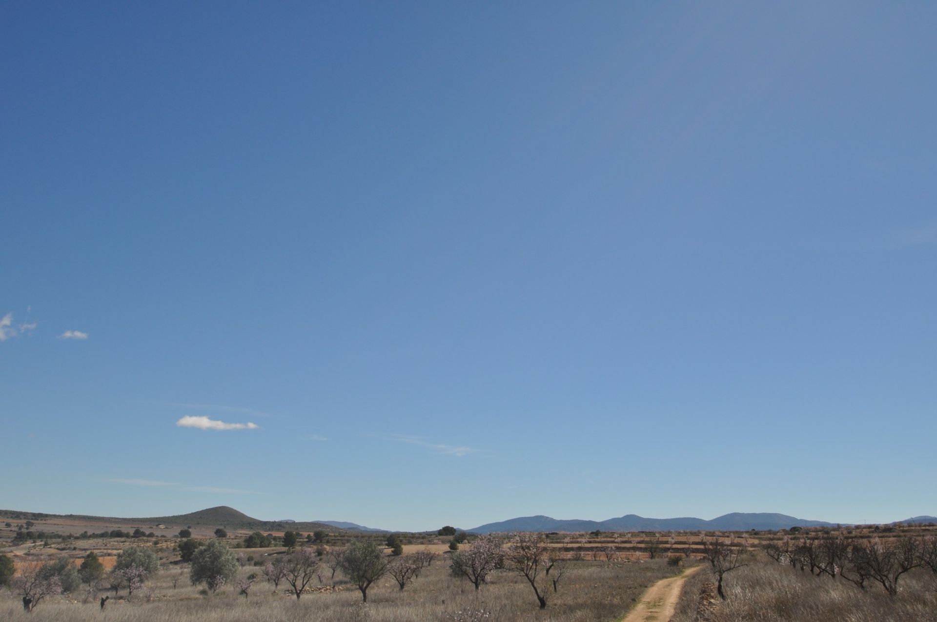 Tierra en Yecla, Región de Murcia 10725154