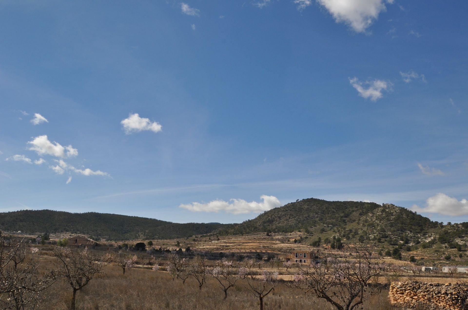 Land in Yecla, Región de Murcia 10725154