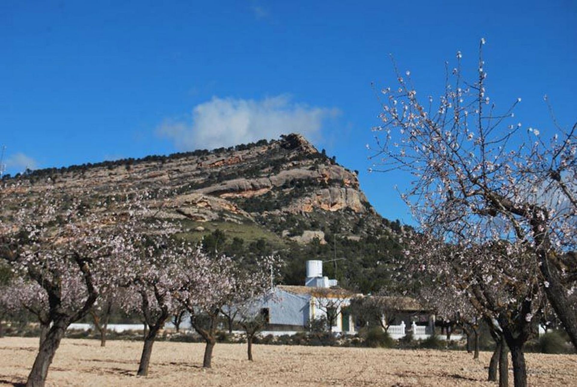 Huis in Yecla, Región de Murcia 10725159