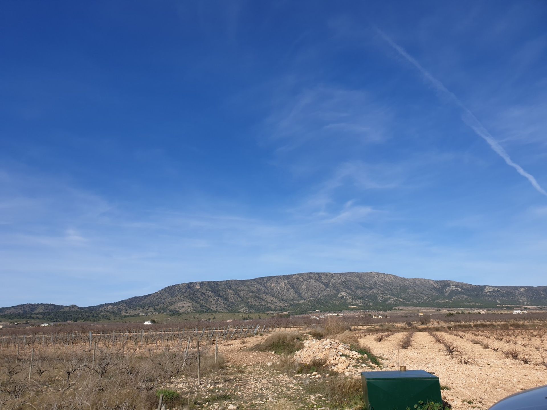 Tanah di Pinoso, Comunidad Valenciana 10725207