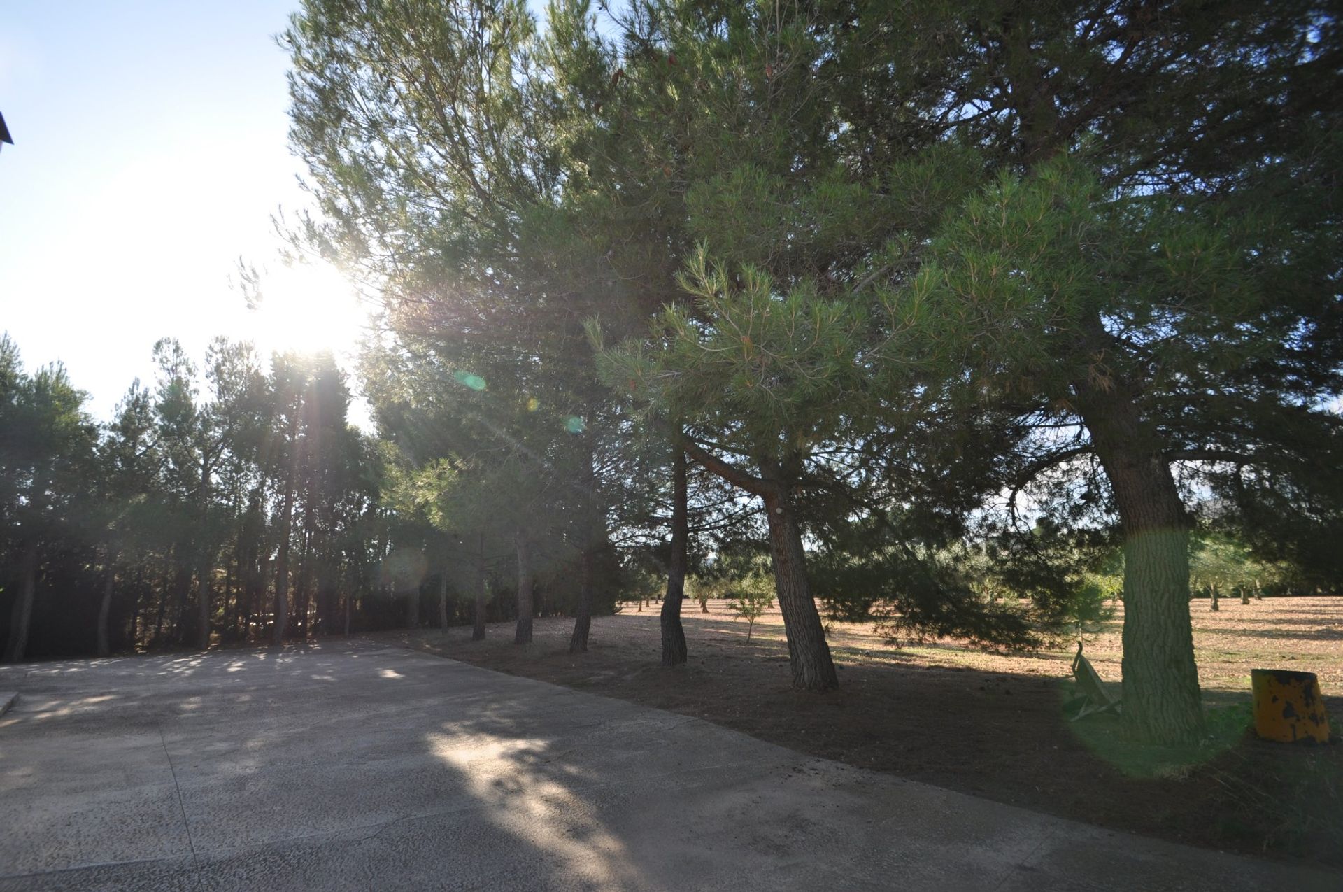 House in Yecla, Región de Murcia 10725291