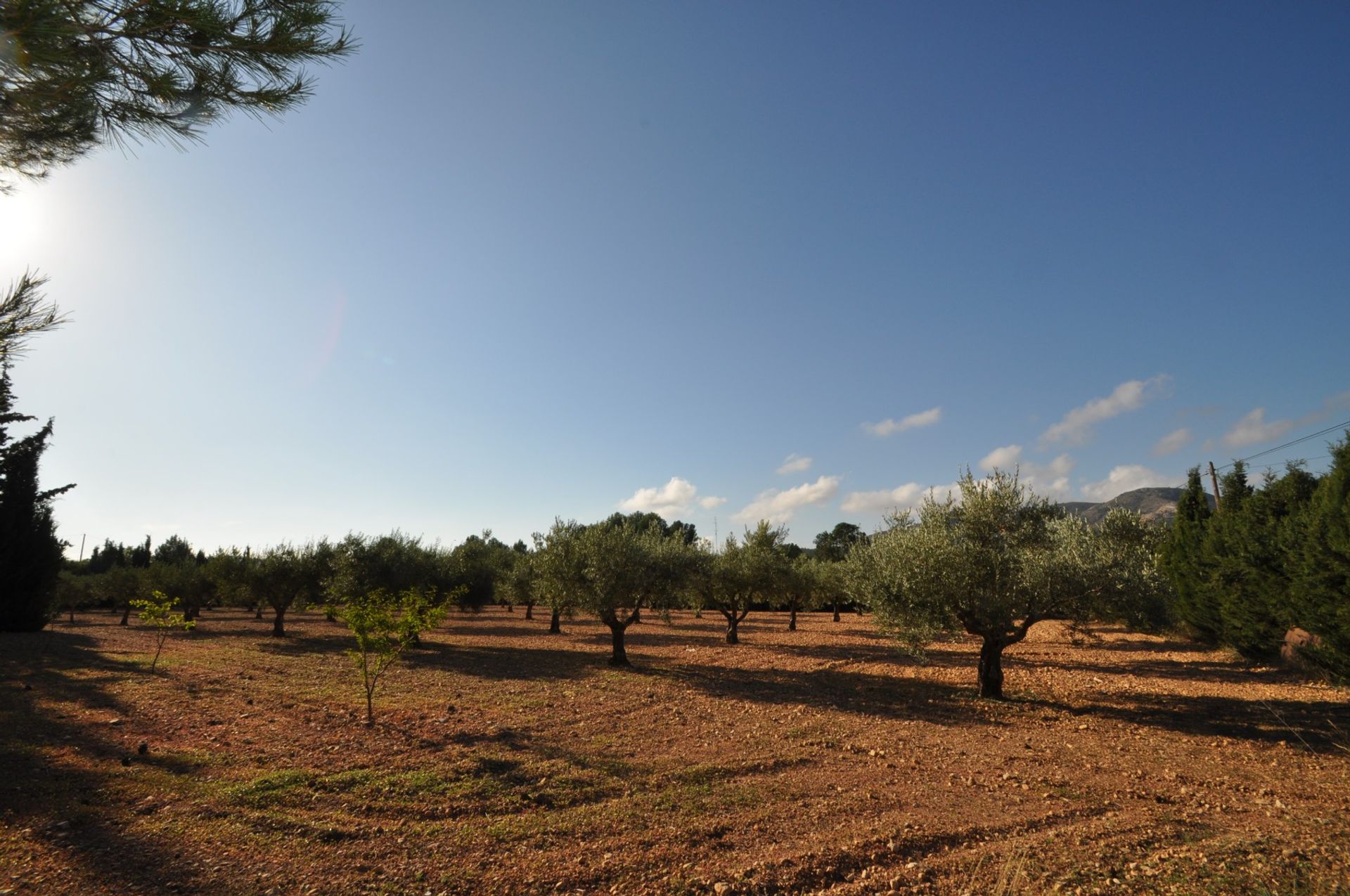 casa en Yecla, Región de Murcia 10725291