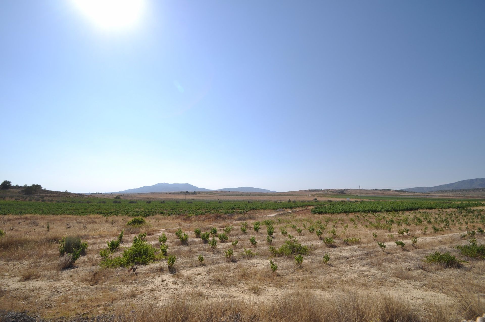 Terra no Pinoso, Valência 10725318