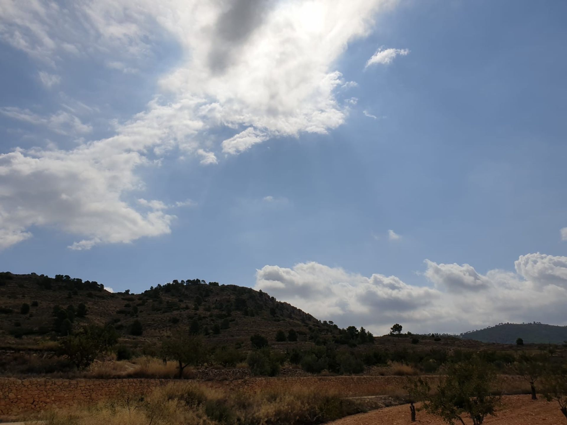 Γη σε Ο Πινόσο, Βαλένθια 10725325