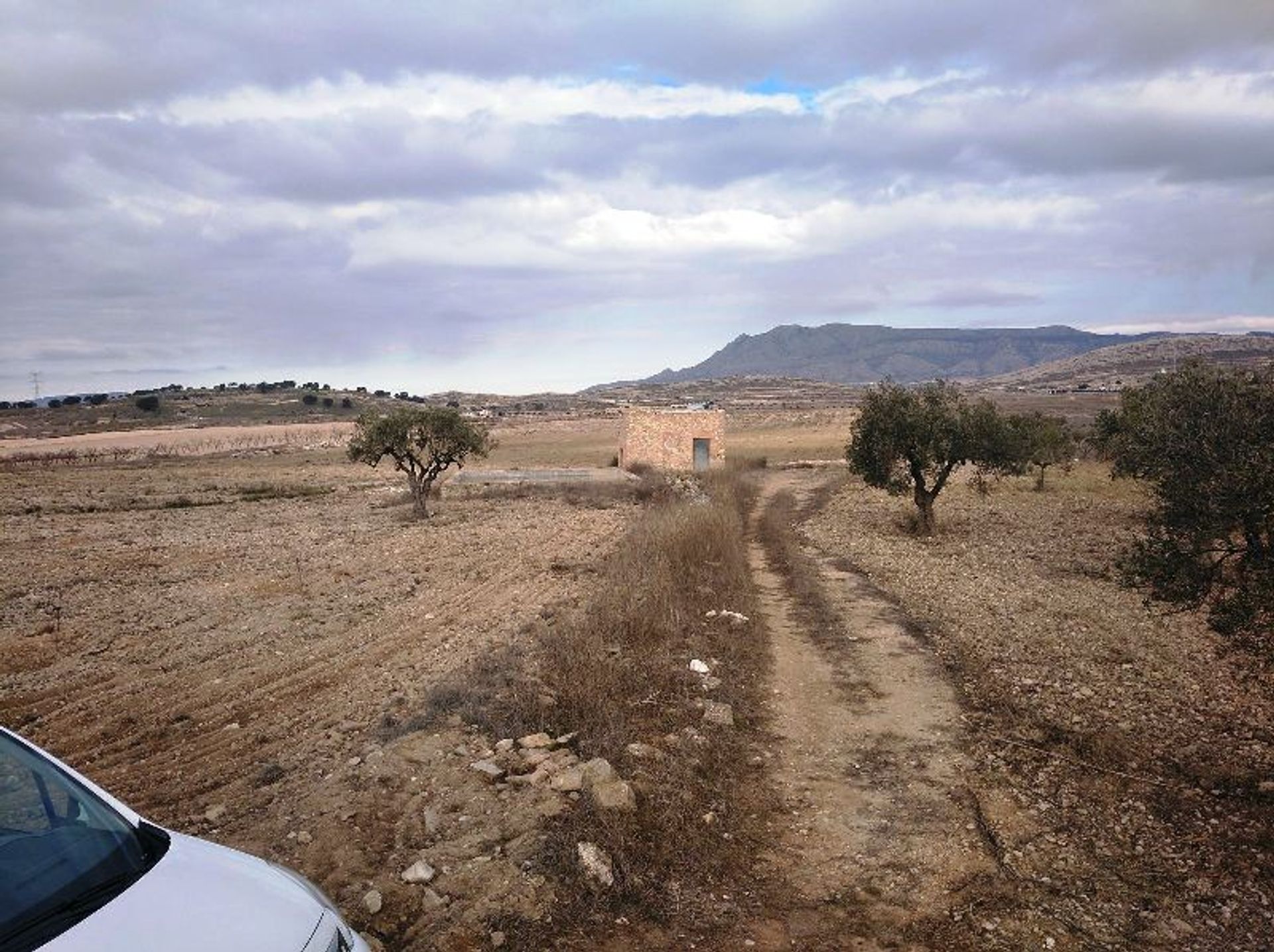 Земельные участки в Jumilla, Región de Murcia 10725382