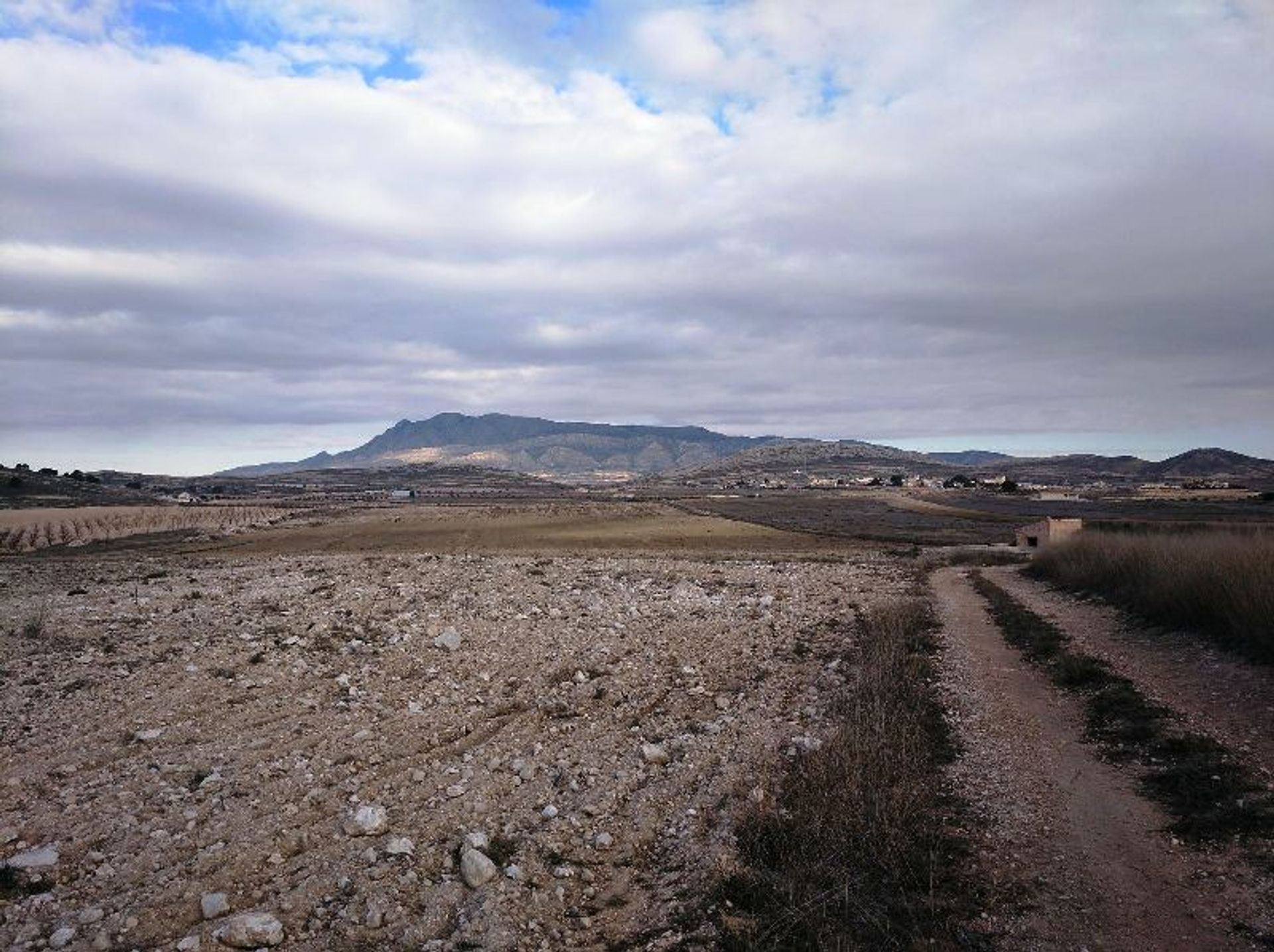 Γη σε Jumilla, Región de Murcia 10725382