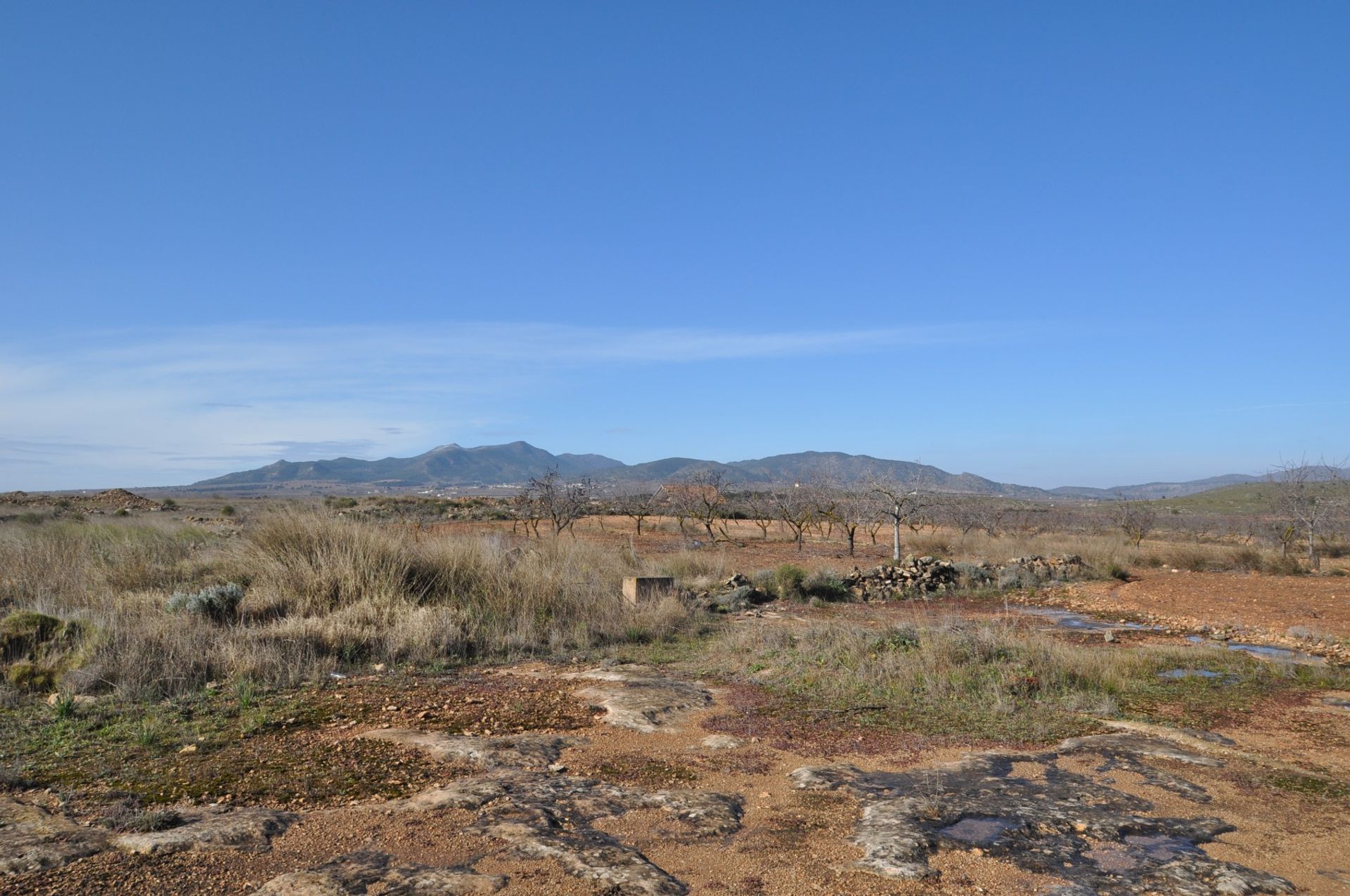 Land in Pinoso, Valencia 10725387