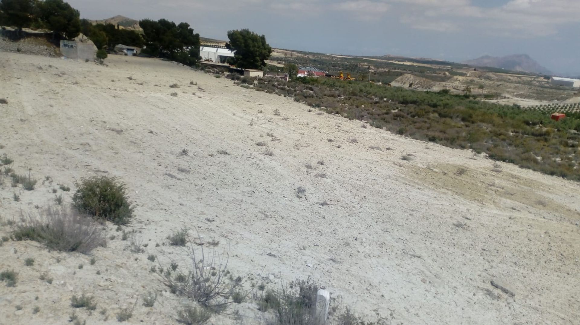 Tanah dalam Blanca, Región de Murcia 10725397