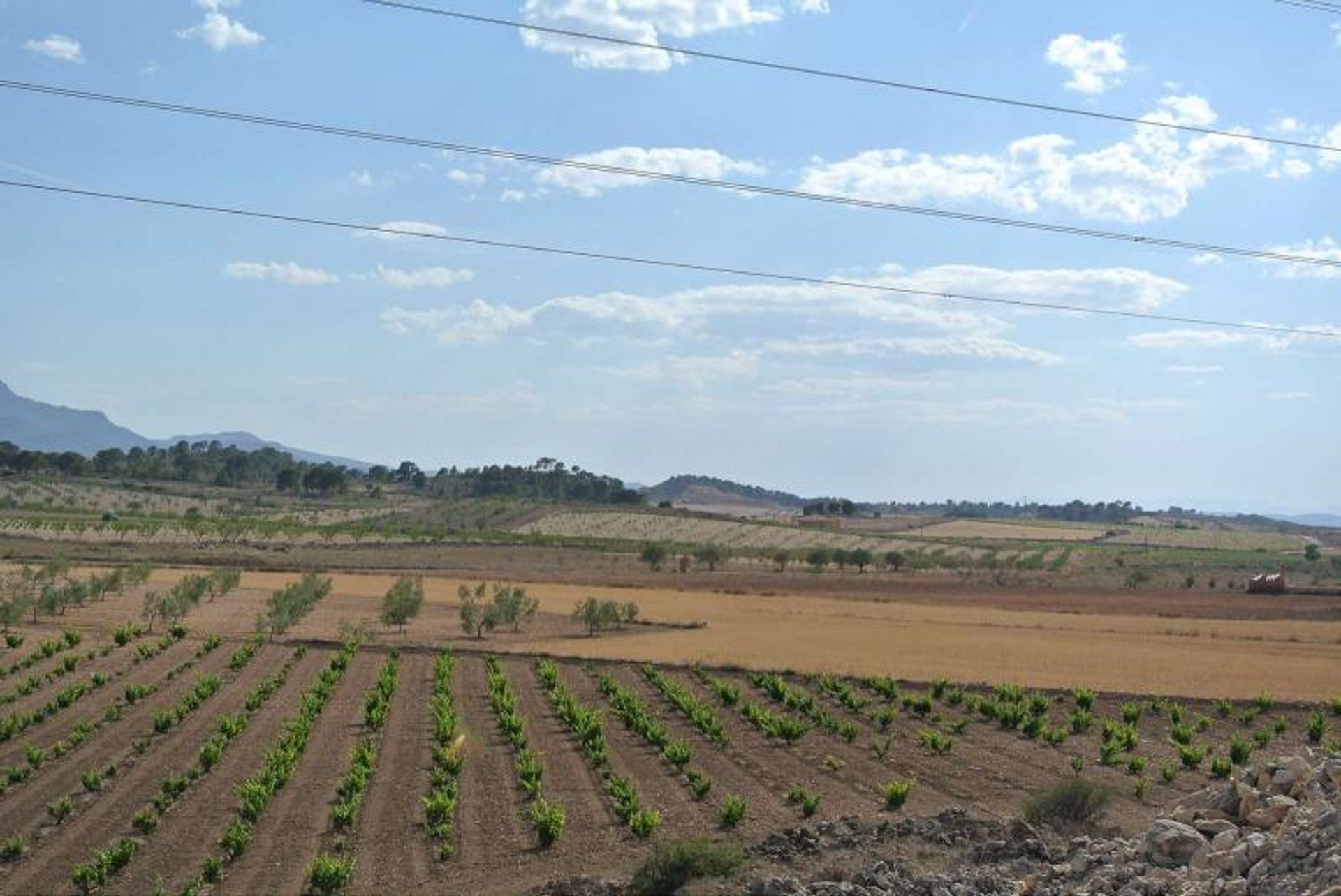 casa no Jumilla, Región de Murcia 10725405