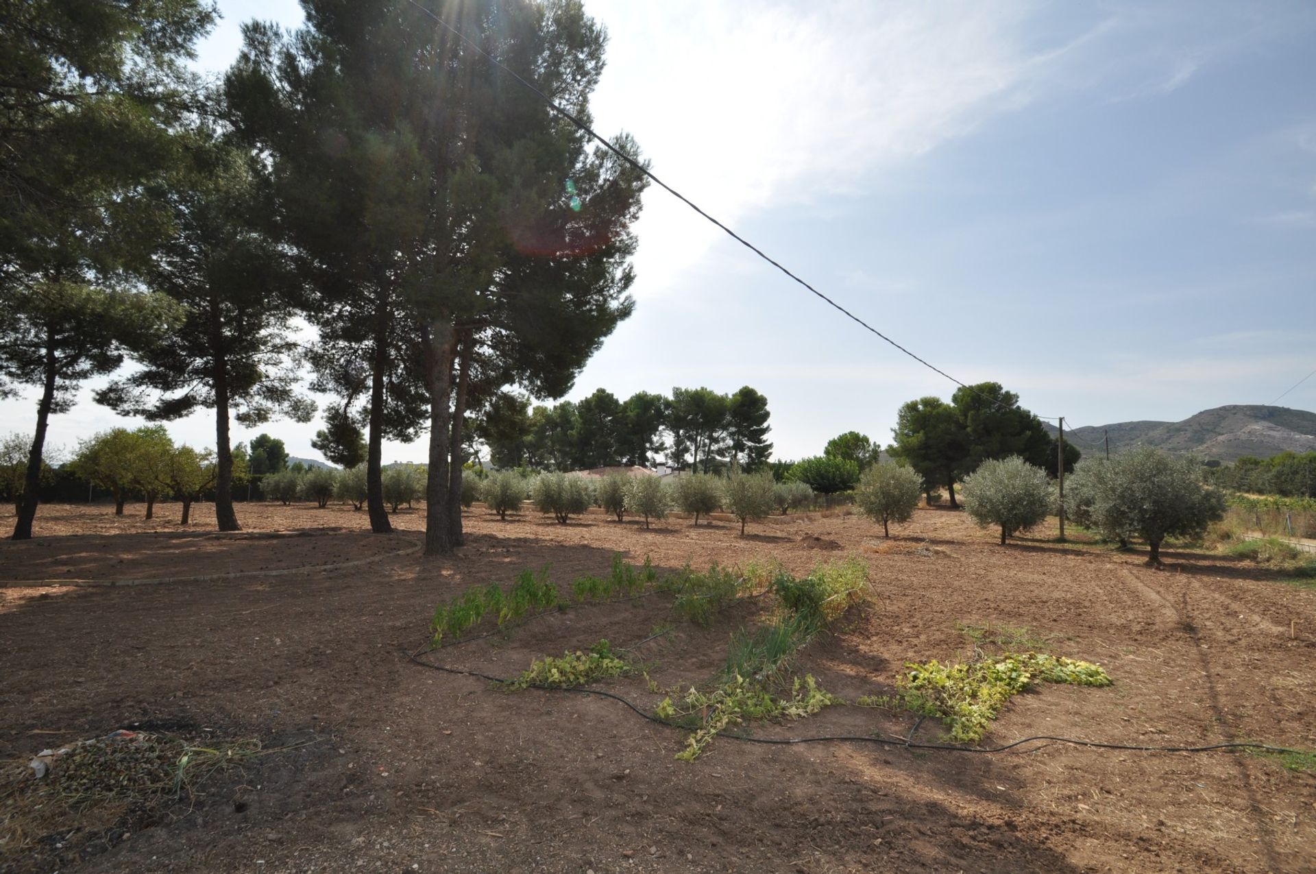 Haus im Yecla, Región de Murcia 10725426