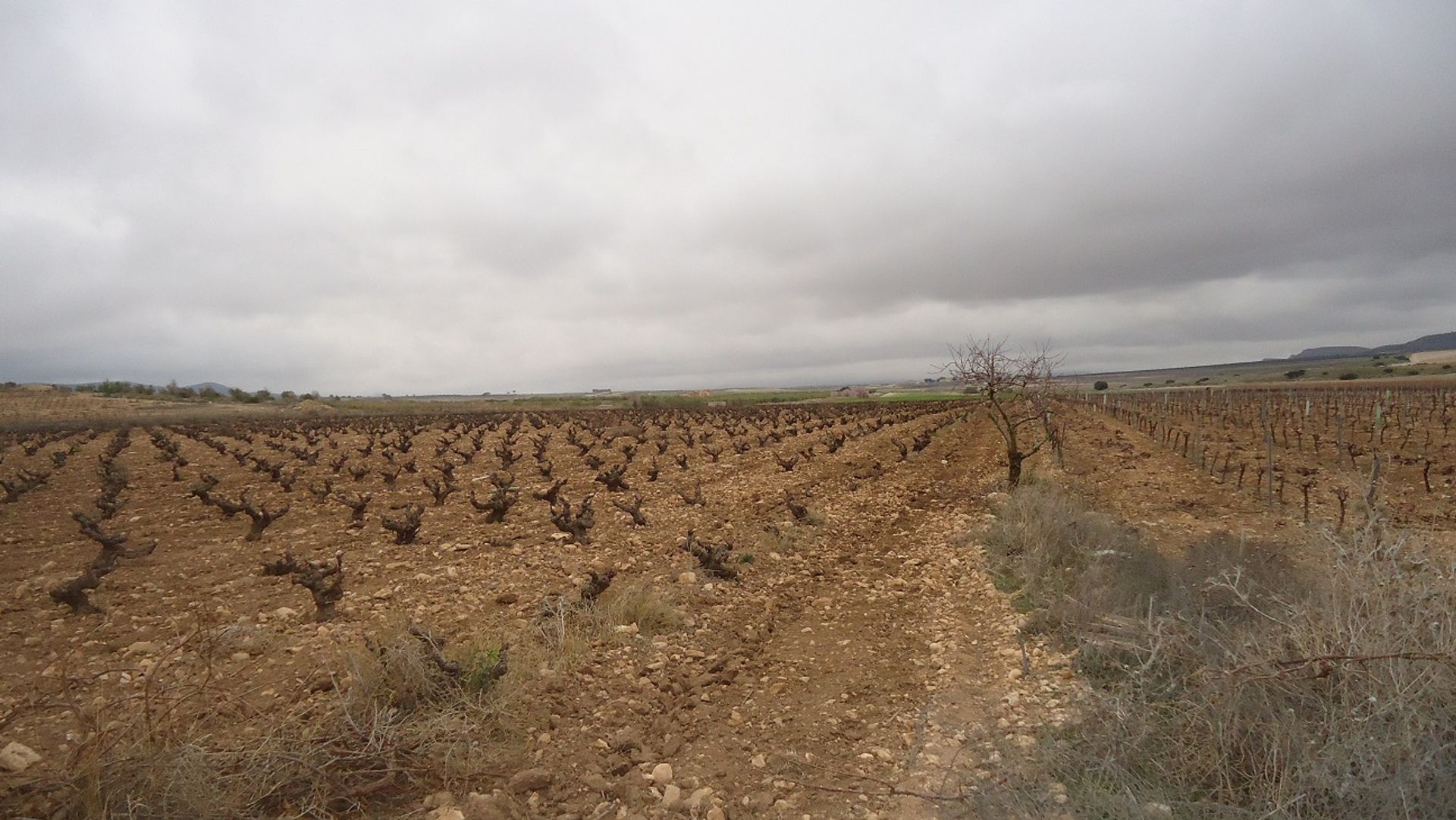 Terra no Pinoso, Valência 10725478