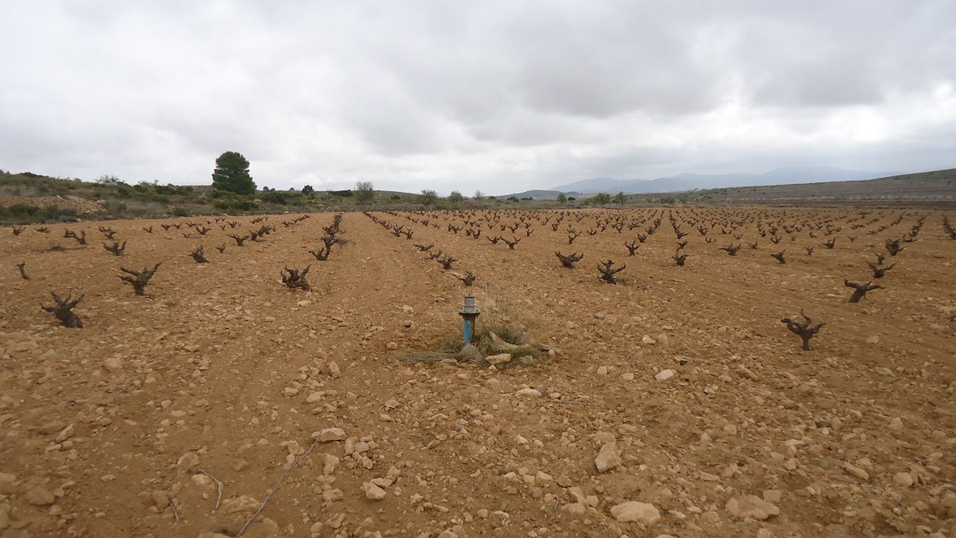 Terra no Pinoso, Valência 10725478