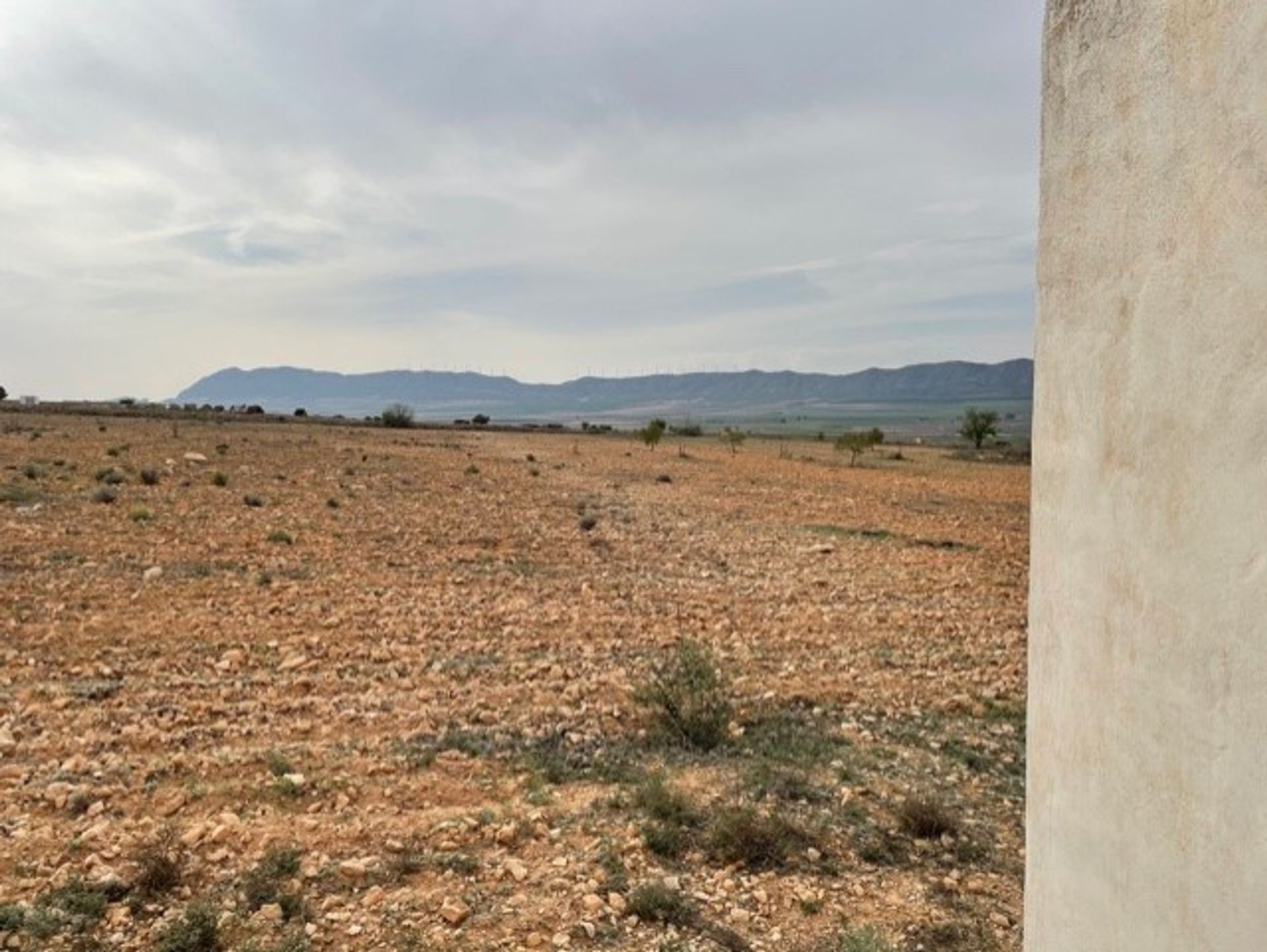 土地 在 Yecla, Región de Murcia 10725479