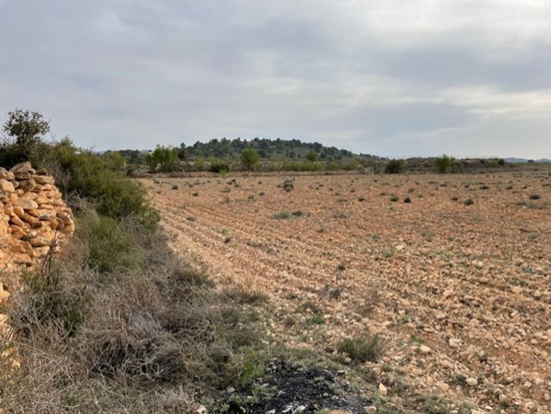 土地 在 Yecla, Región de Murcia 10725479